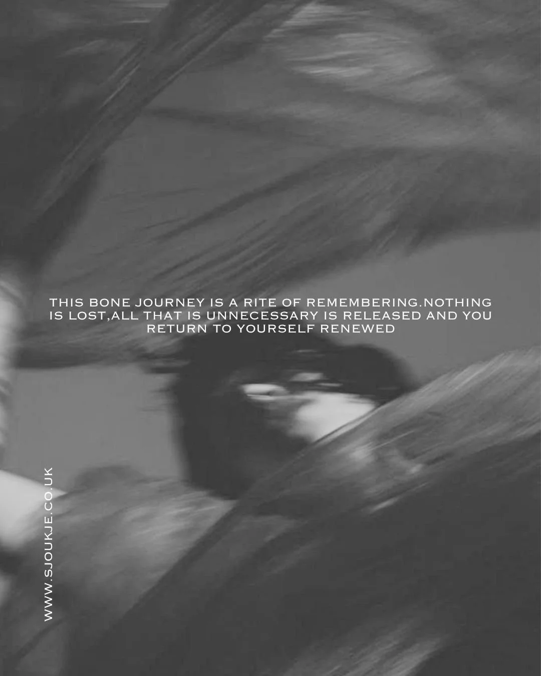 carousel - Back to the Bones (3).jpg