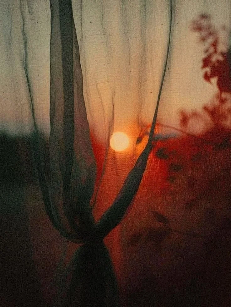 autumn veil.jpg
