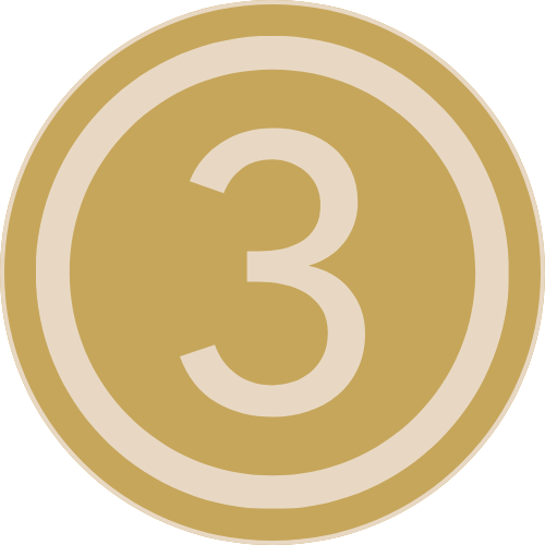 A gold medal with the number 3 in the center, surrounded by concentric circles.
