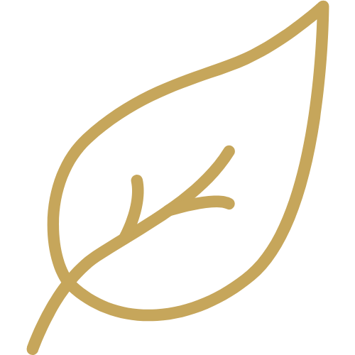 Minimalist icon of a leaf in gold outline on a black background.