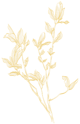 A sketch of a small tree or plant with yellow leaves on a black background.