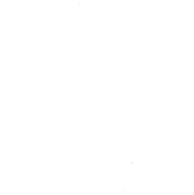 SVTSM