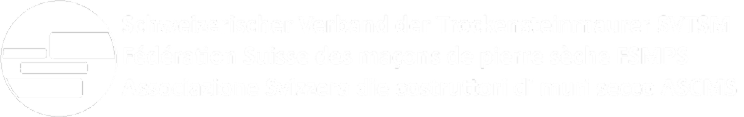 SVTSM