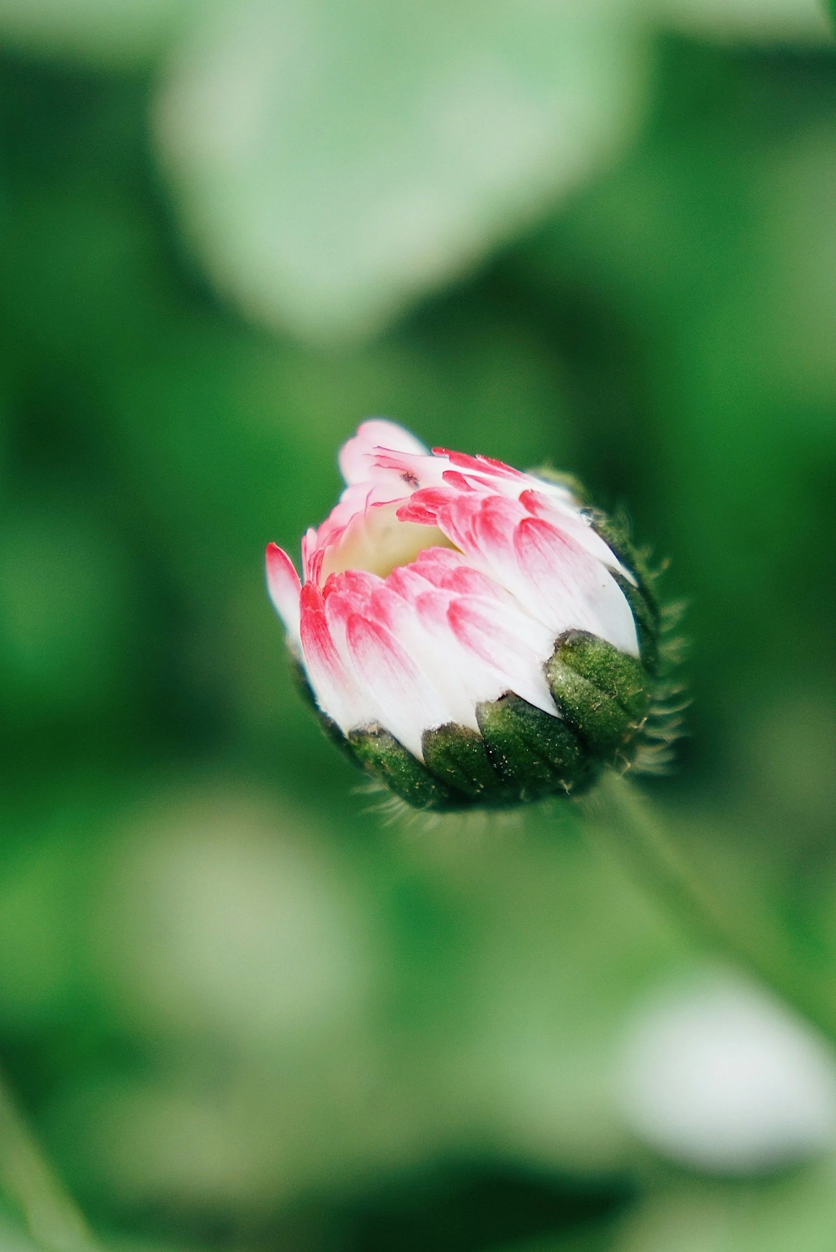 unsplash-image-AAX9qR6wUdM.jpg