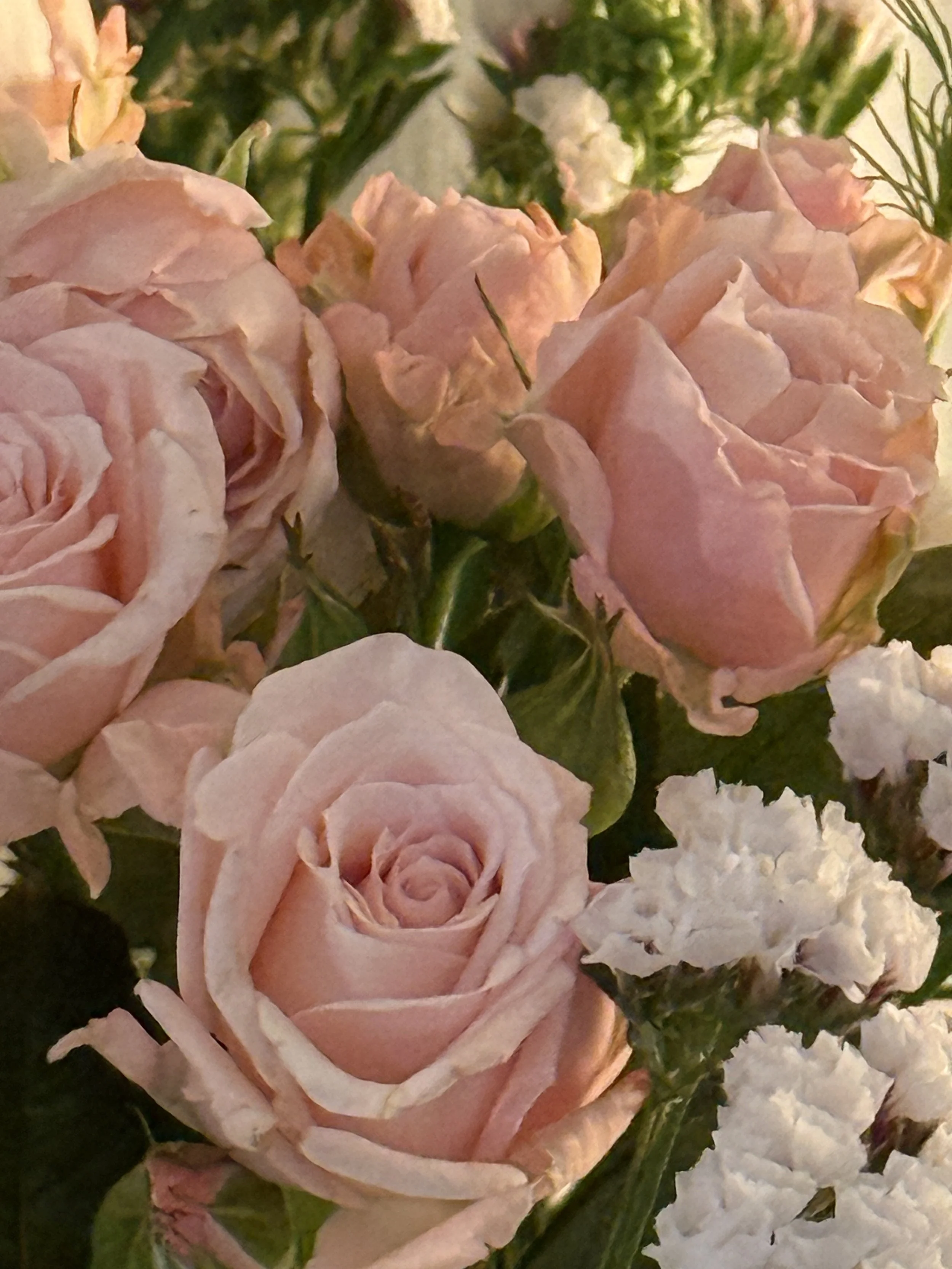 soft / romantic