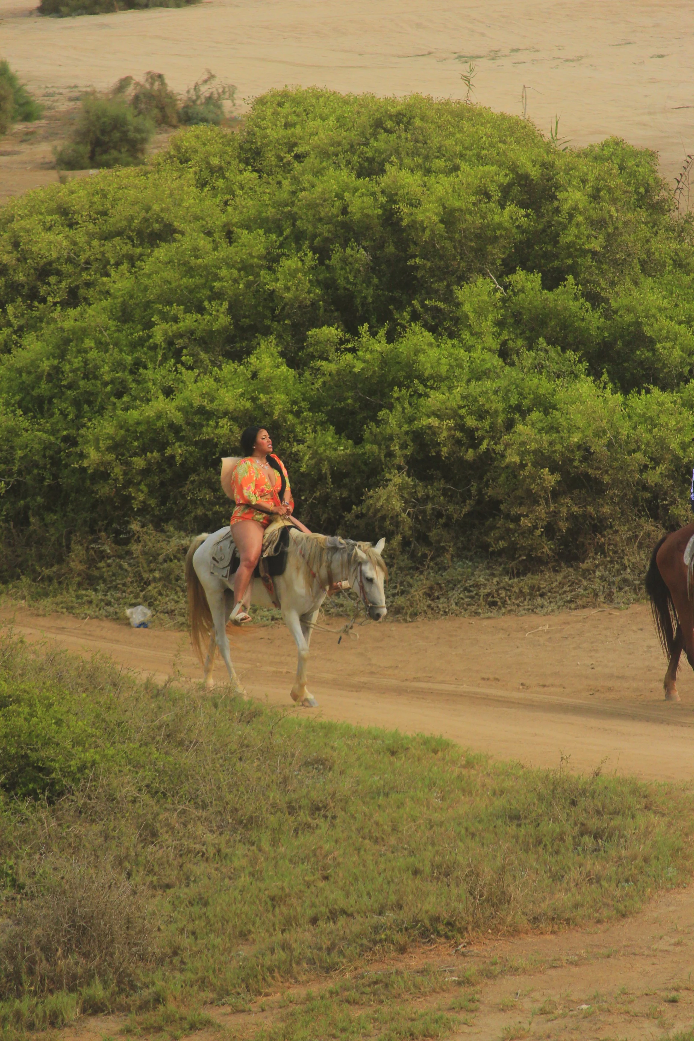 horseback-riding-cabo-san-lucas-mexico.jpg
