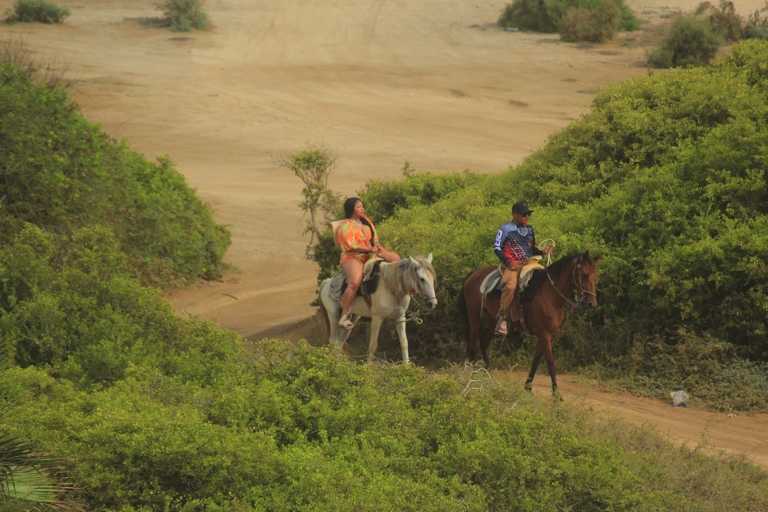 horseback-riding-beach-cabo-mexico.jpg