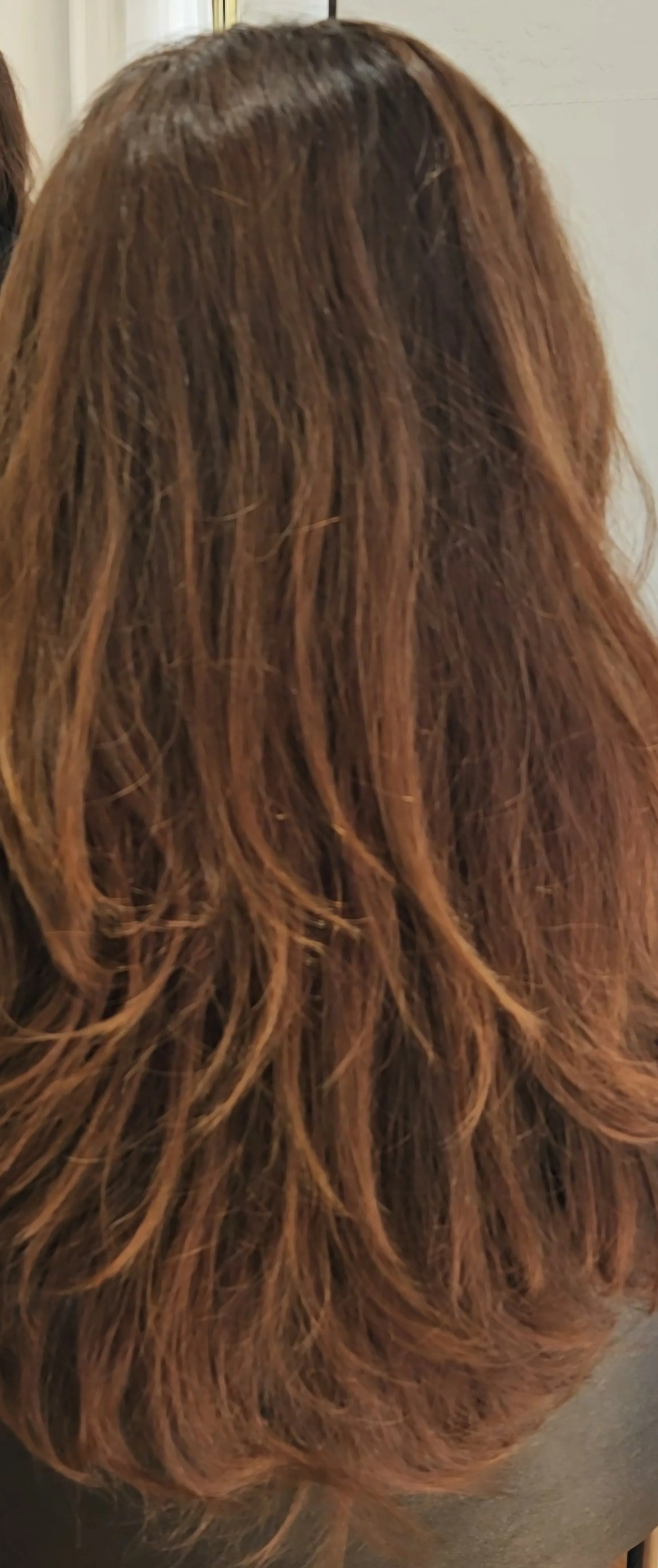 Before photo of warm brown hair before highlights at Jazz Up Your Hair in Eagle Vale Sydney.