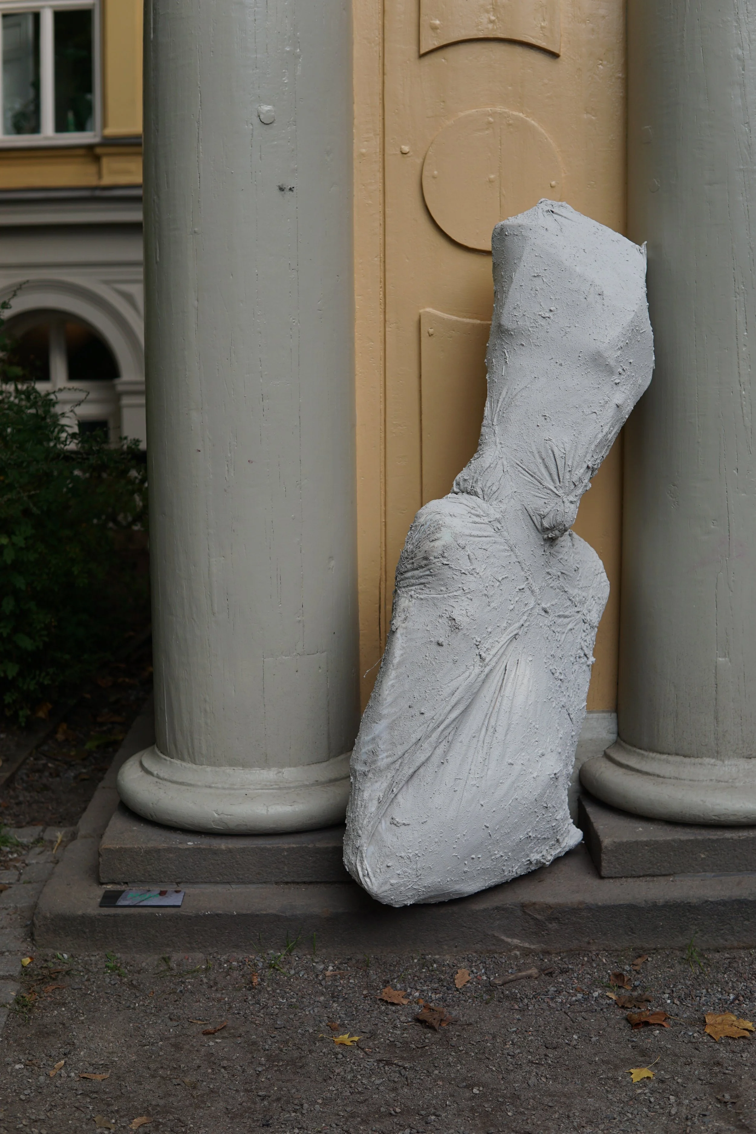 DSC08377.jpg