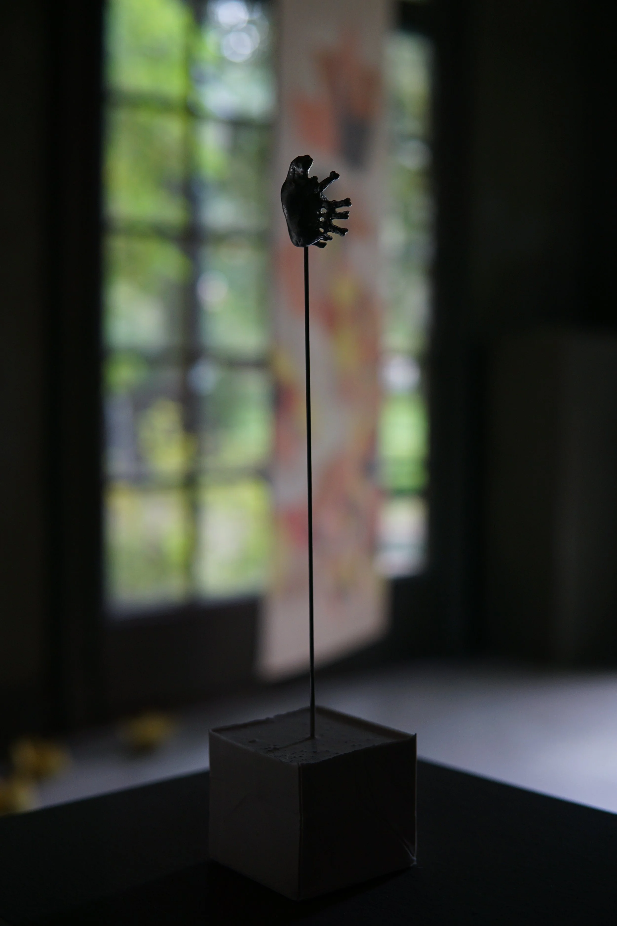 DSC08434.jpg