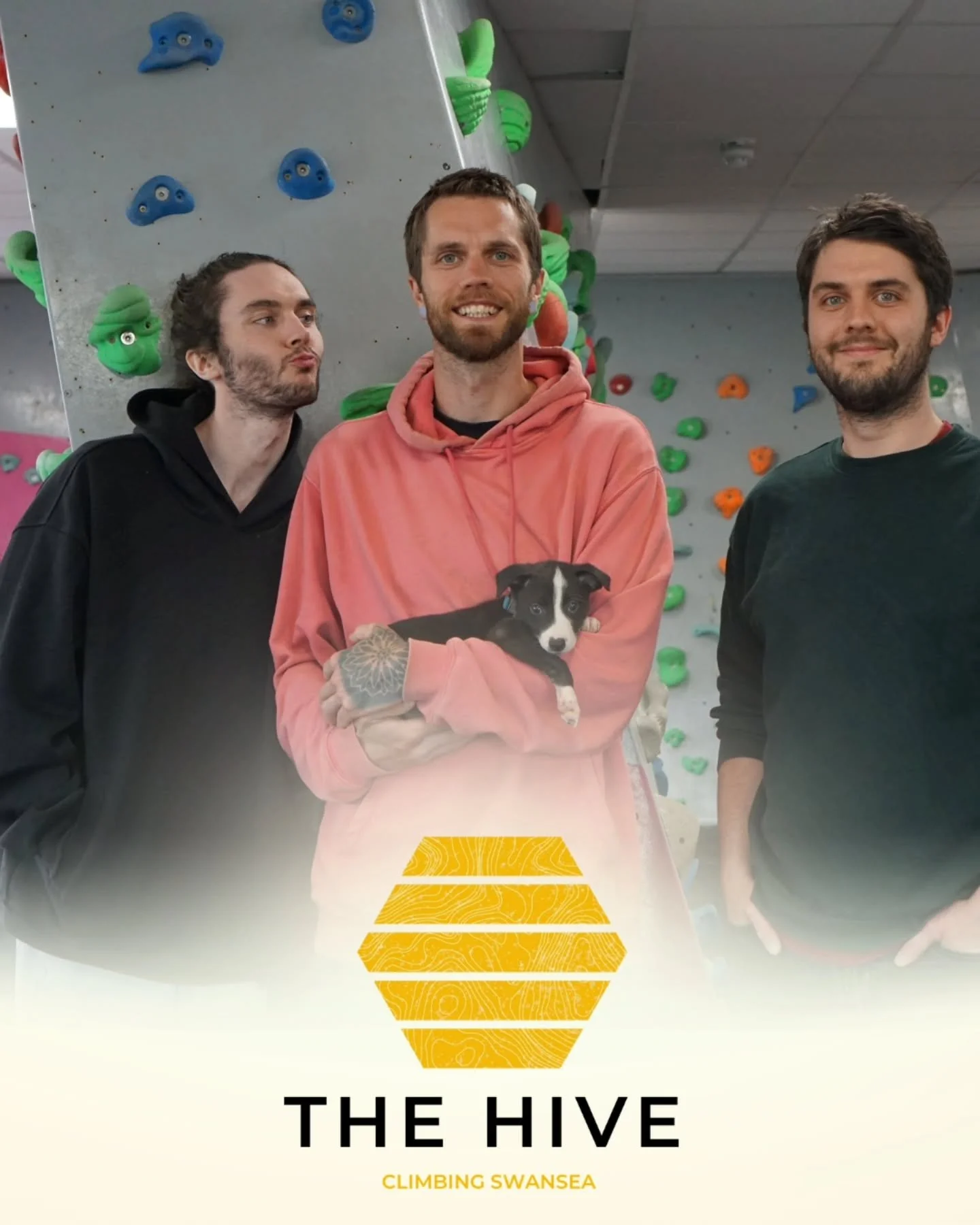 The Climbing Hangar is now The Hive! 

We&rsquo;re psyched to share that The Climbing Hangar Swansea, is relaunching as The Hive from today.

This has been a dream for my brother&rsquo;s and I for such a long time, and we can&rsquo;t wait to go on th