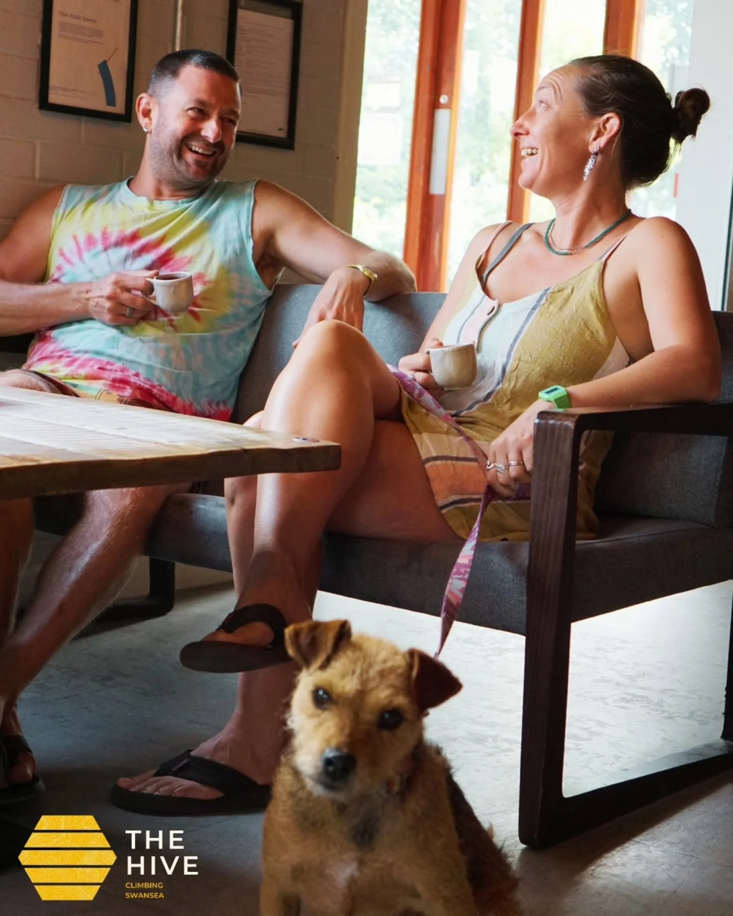 You don't have to climb to hang out at The Hive. ☕
Come for the coffee, stay for the vibes. Fast WiFi, dogs always welcome, and plenty of space to get some work done (or just hang out). 
Come say hi. 🐾

#SwanseaCafe #WorkFromCafe #DogFriendlyCafe #T