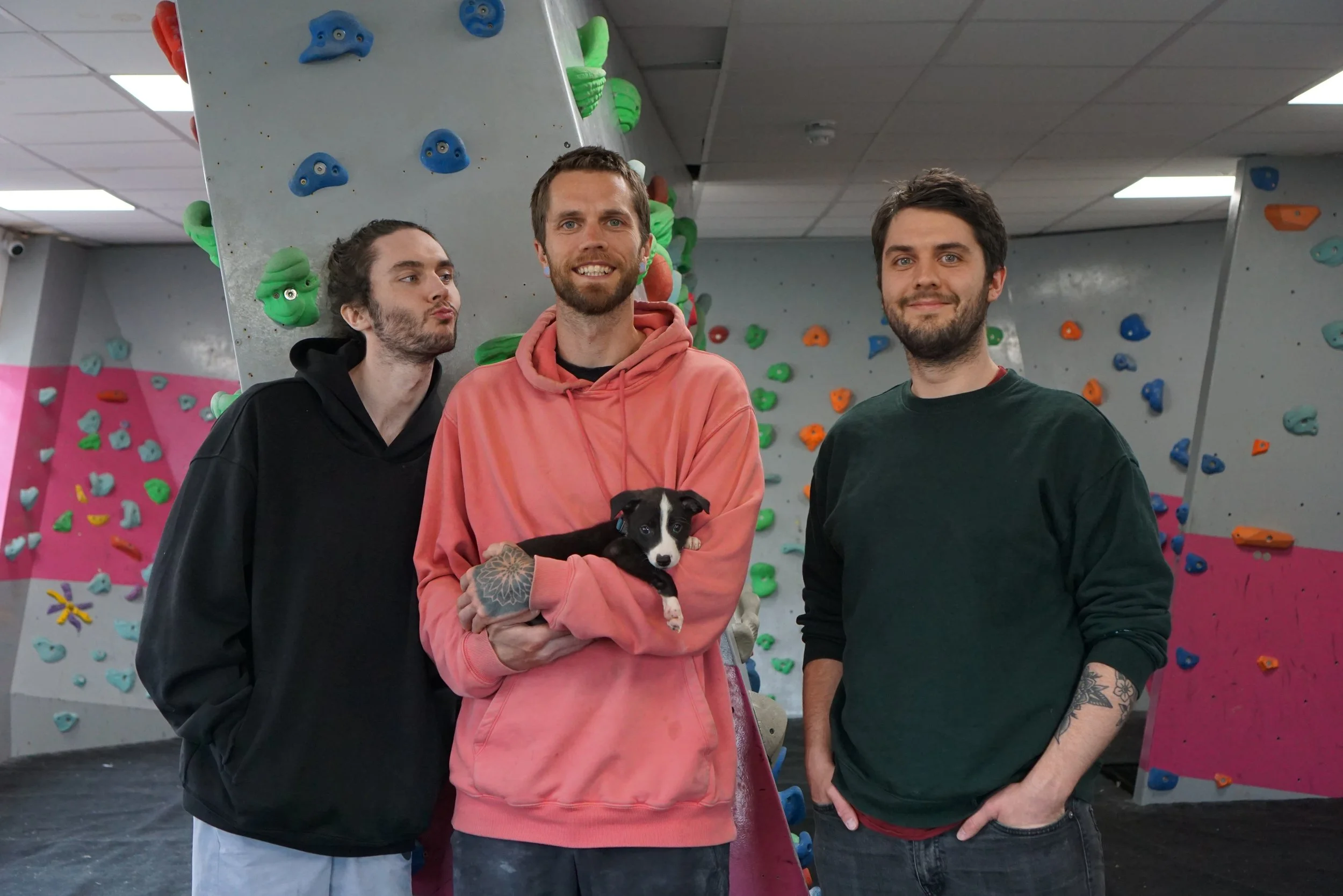 The Hives owners - 3 brothers and a puppy in an indoor rock climbing gym with colourful climbing holds on the walls.