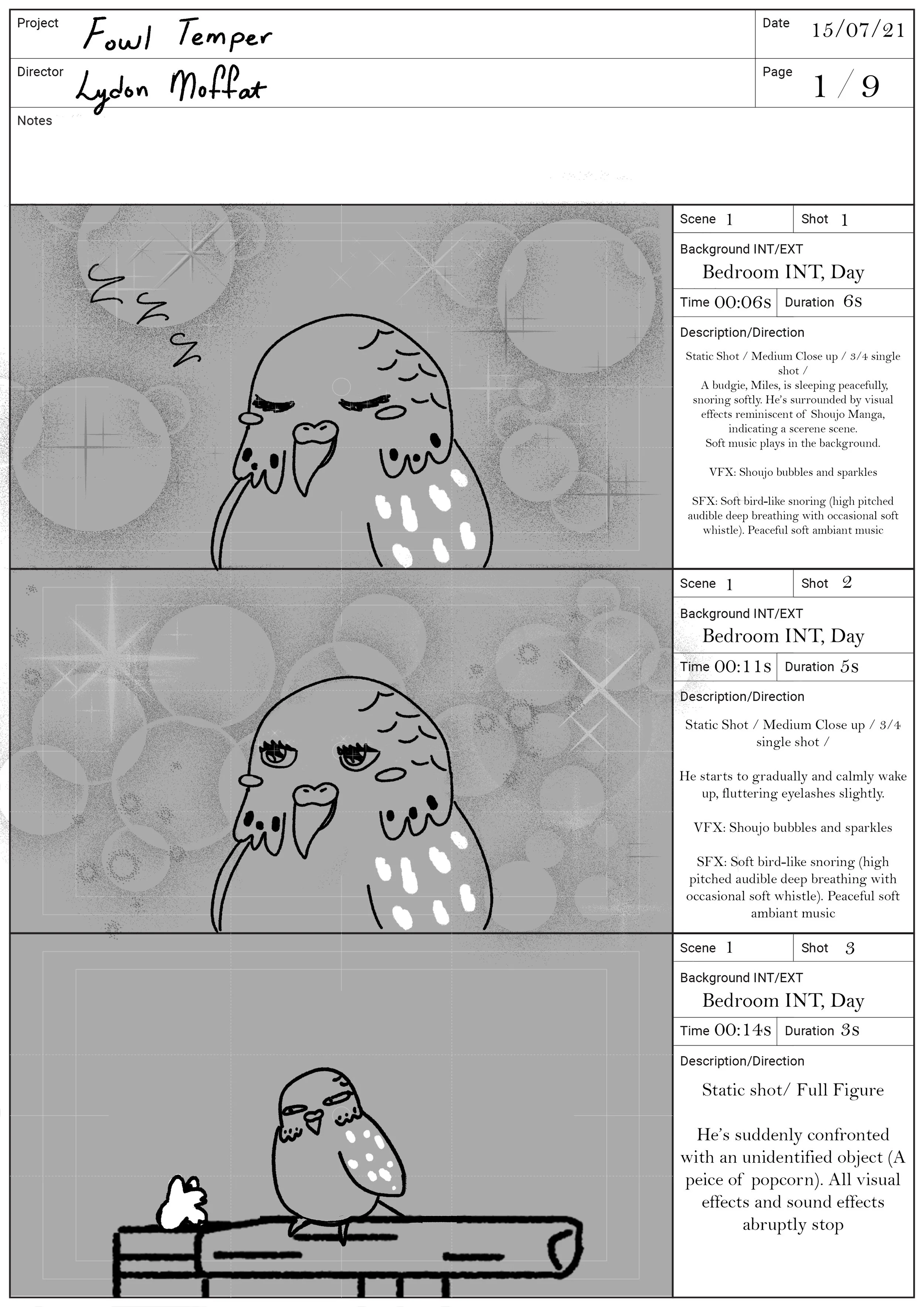 Fowl Temper Storyboard Page 1