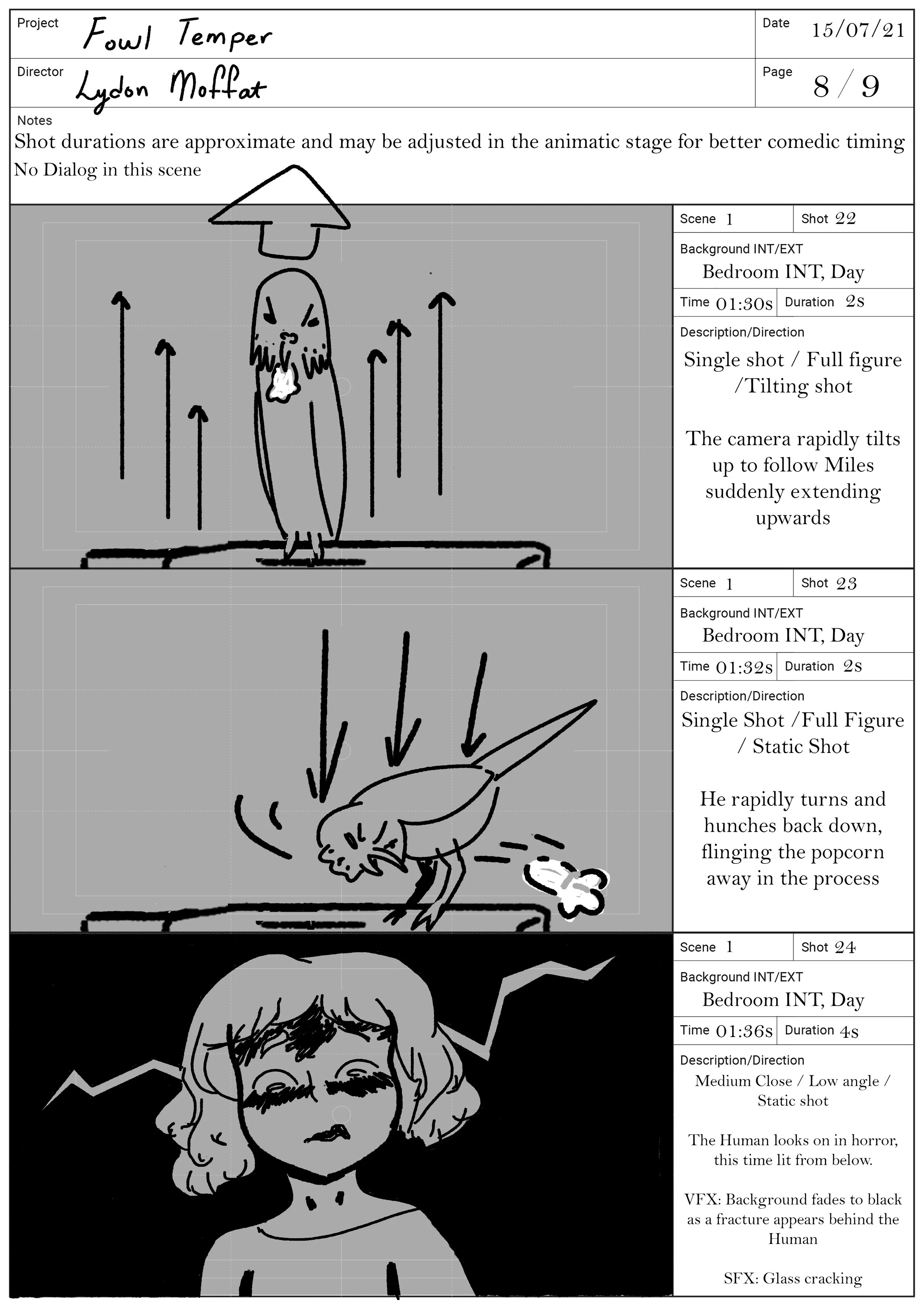 Fowl Temper Storyboard Page 8