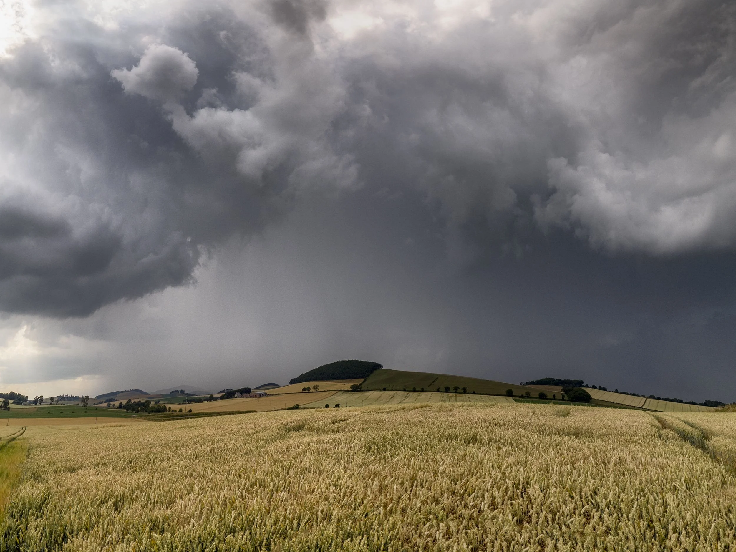 Drainage and Farm Modernisation