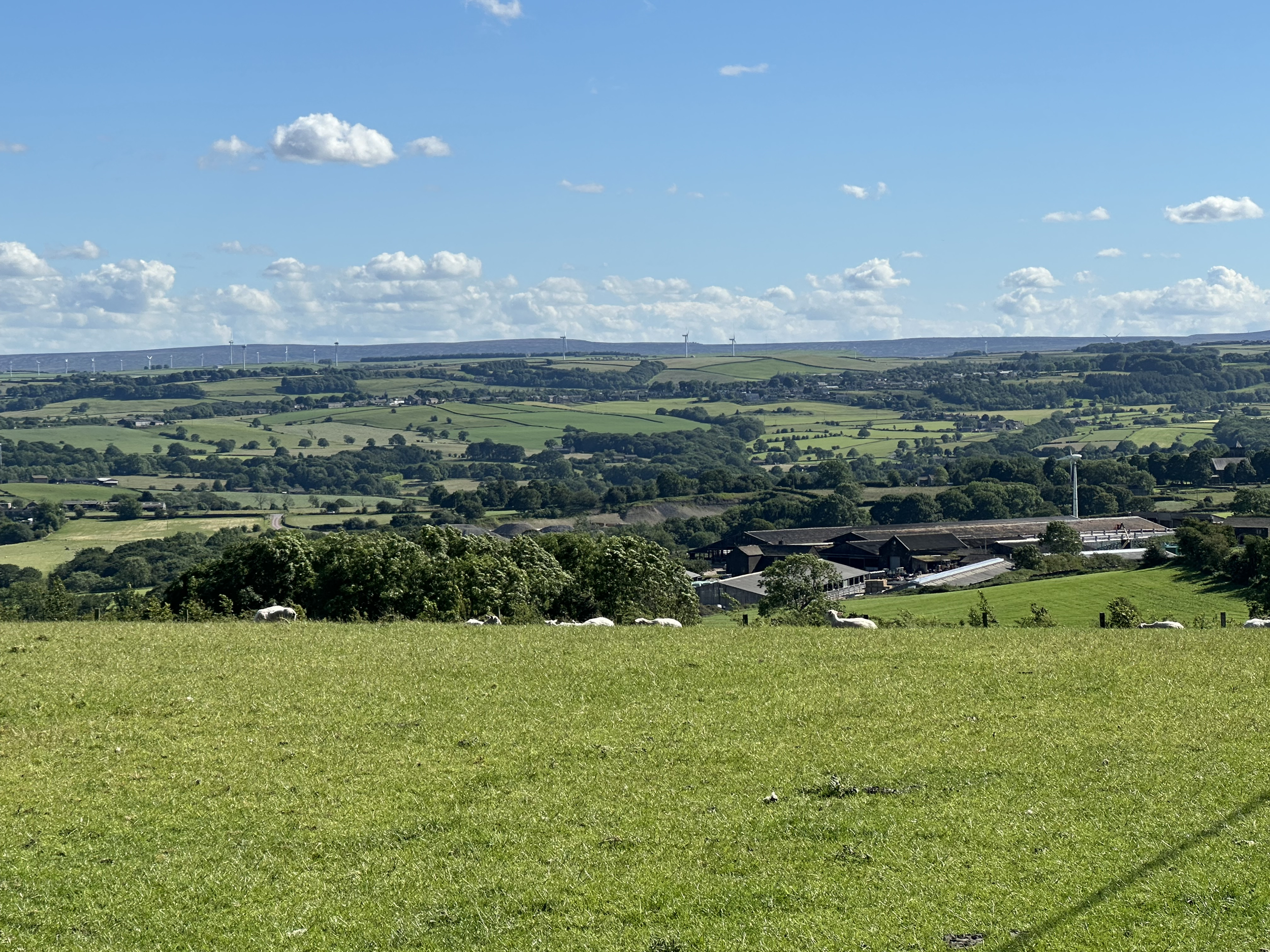 West Yorkshire landscape with sheep, farm buildings and wind turbines on distant hills.