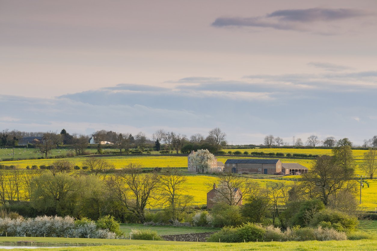 Scenic view of a rural landscape with a bright yellow flower field, several trees, and a few buildings under a partly cloudy sky.