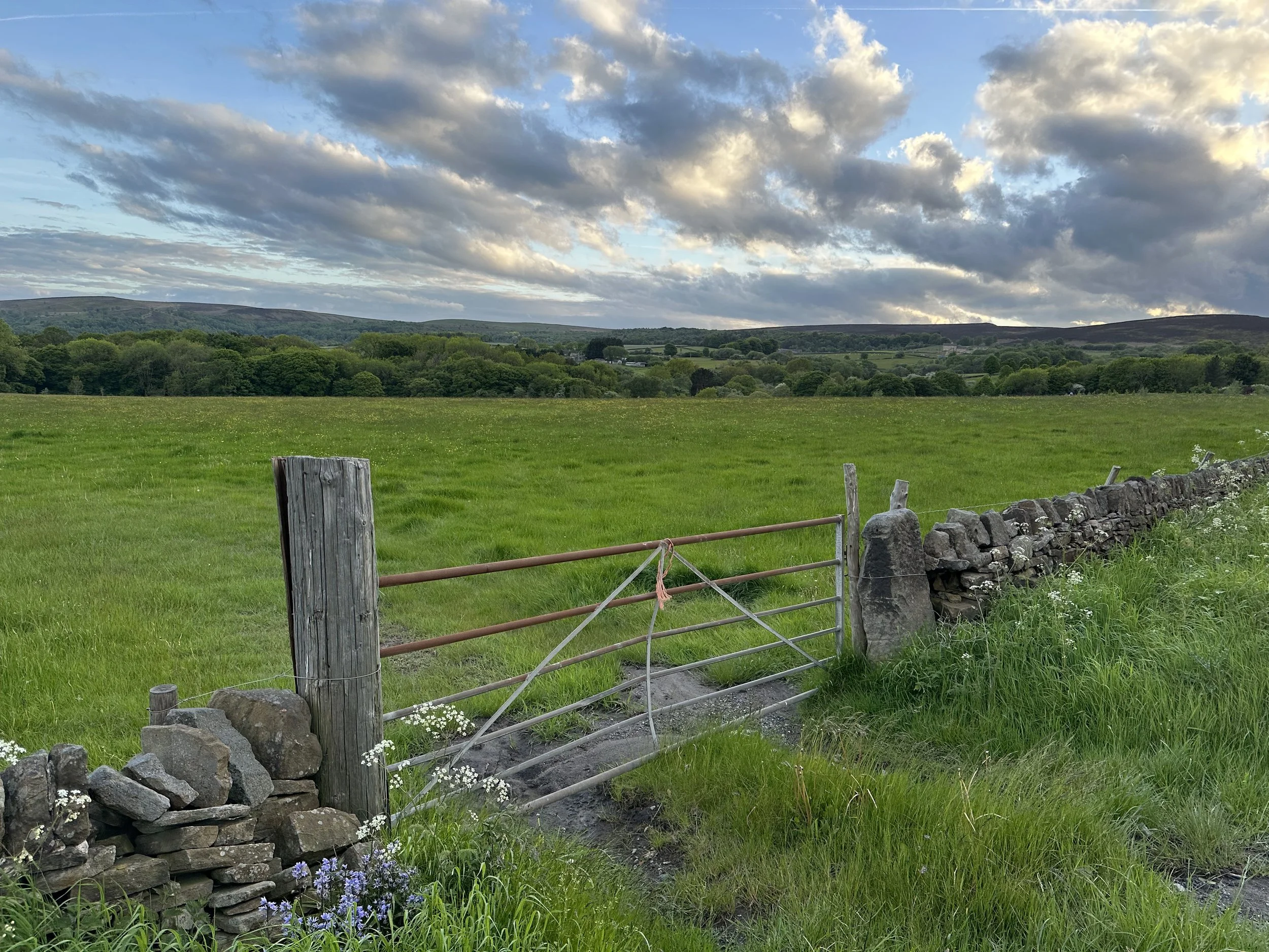 A green field with a stone wall and wooden fence in the foreground, lush trees in the middle ground, rolling hills in the background, and a partly cloudy sky overhead.