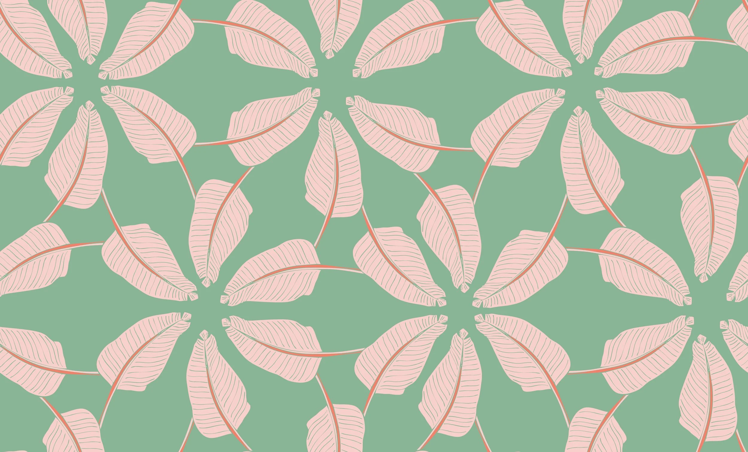 Paml Bloom -  C1.jpg