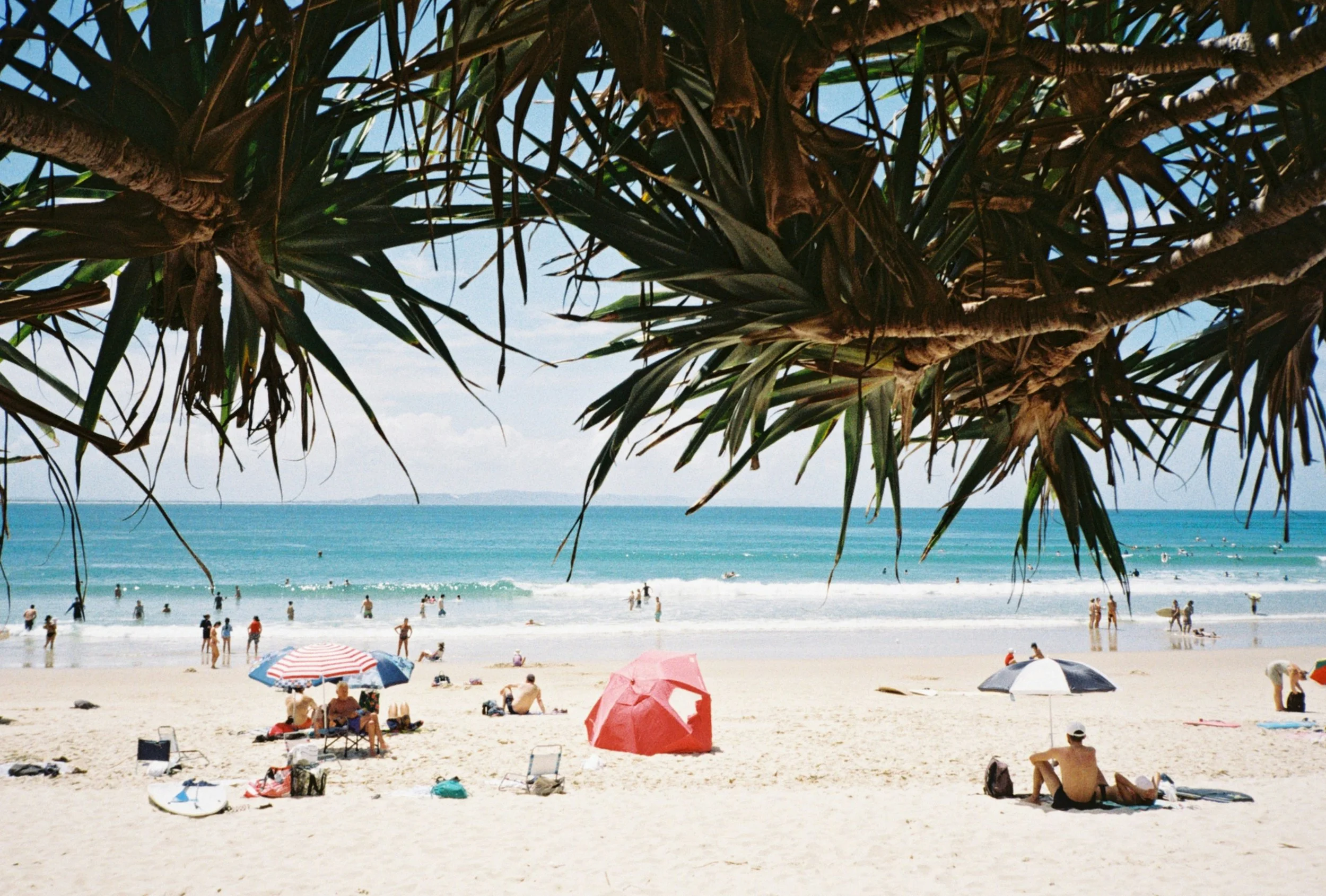 Why Some Airbnb Properties Earn More Than Others in Noosa