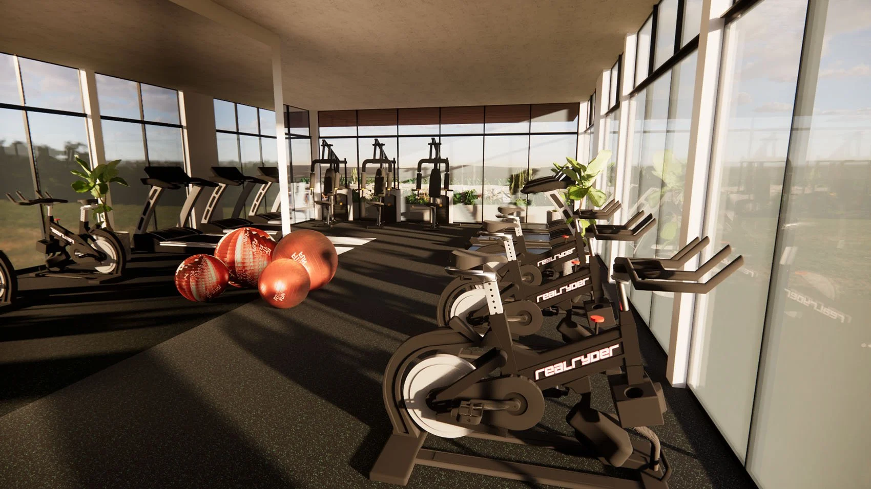 The Palm Haus Roatan - Gym