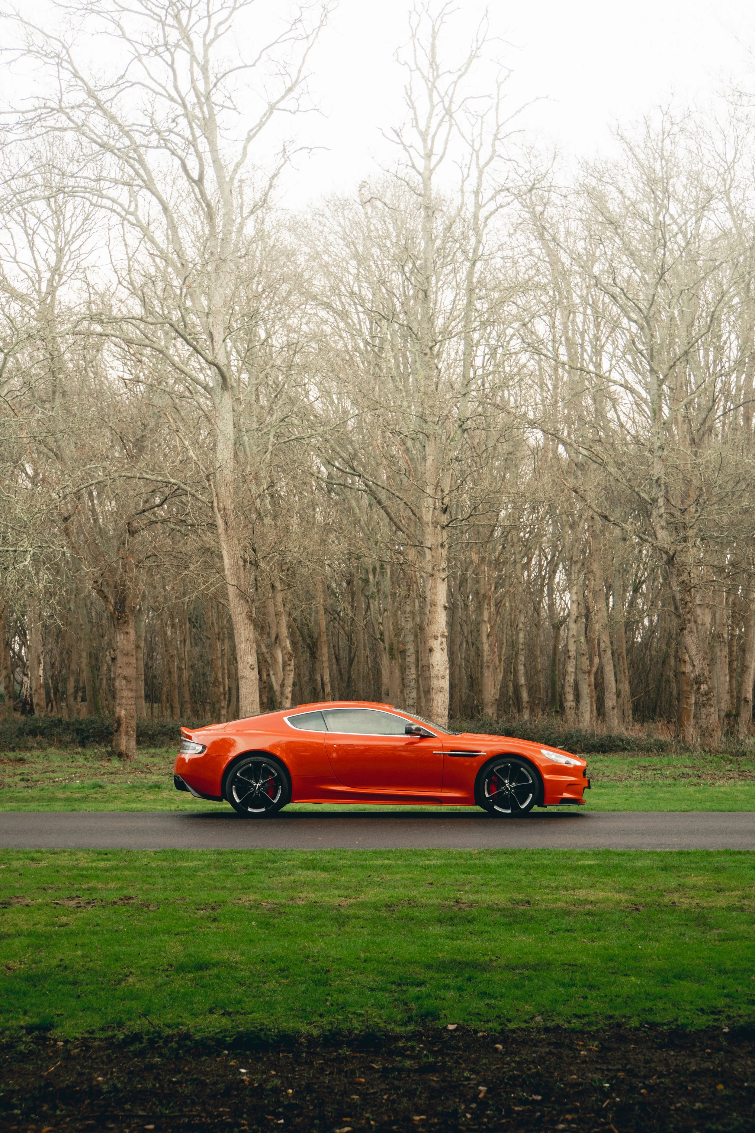Orange sports car parked on a grass field with a backdrop of leafless trees and cloudy sky.