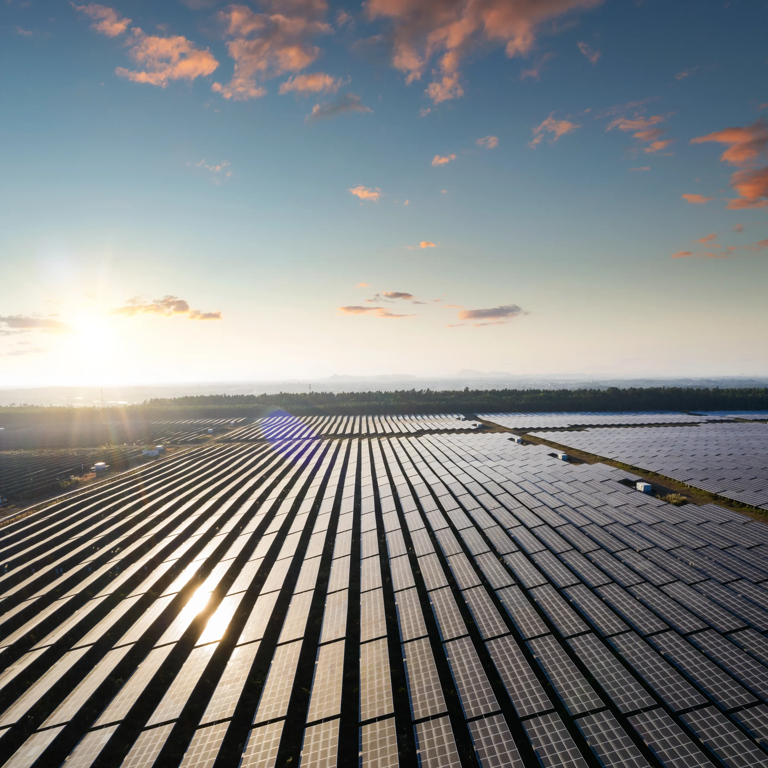 Valorisation énergétique professionnelle : installation de panneaux solaires haute performance pour l'autoconsommation énergétique des entreprises.