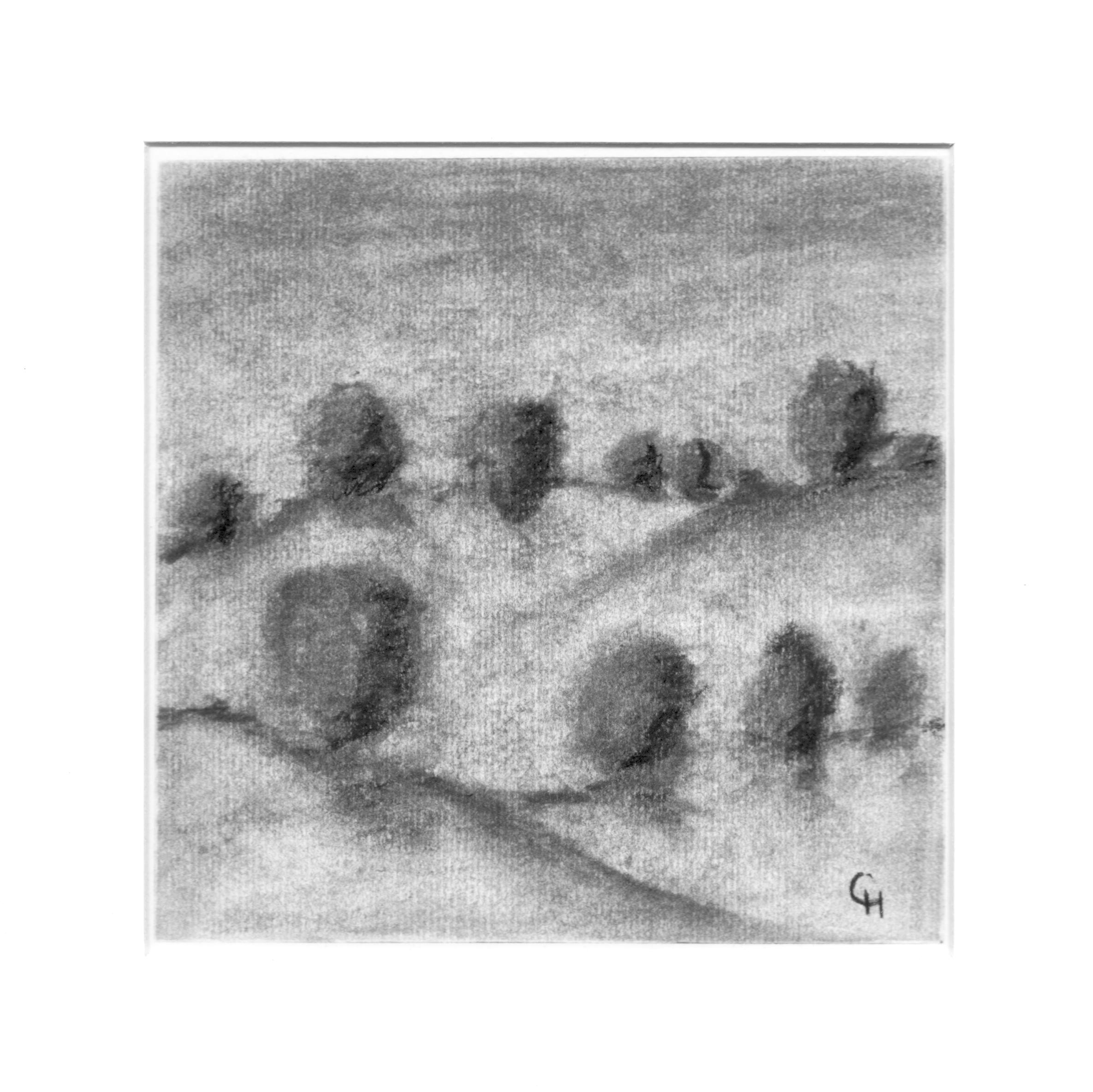 Charcoal Mini (2).png