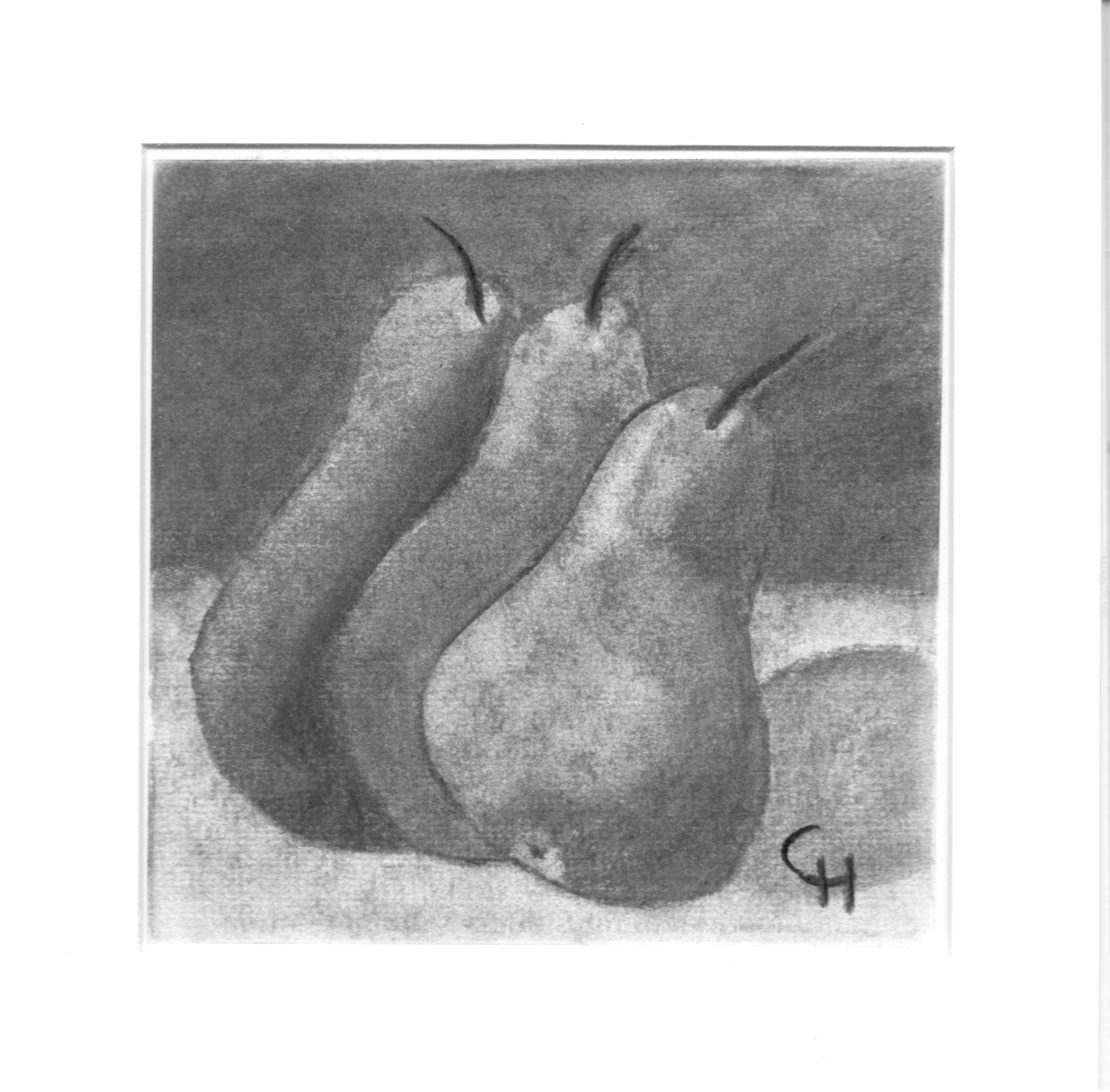 Charcoal Mini (3).png