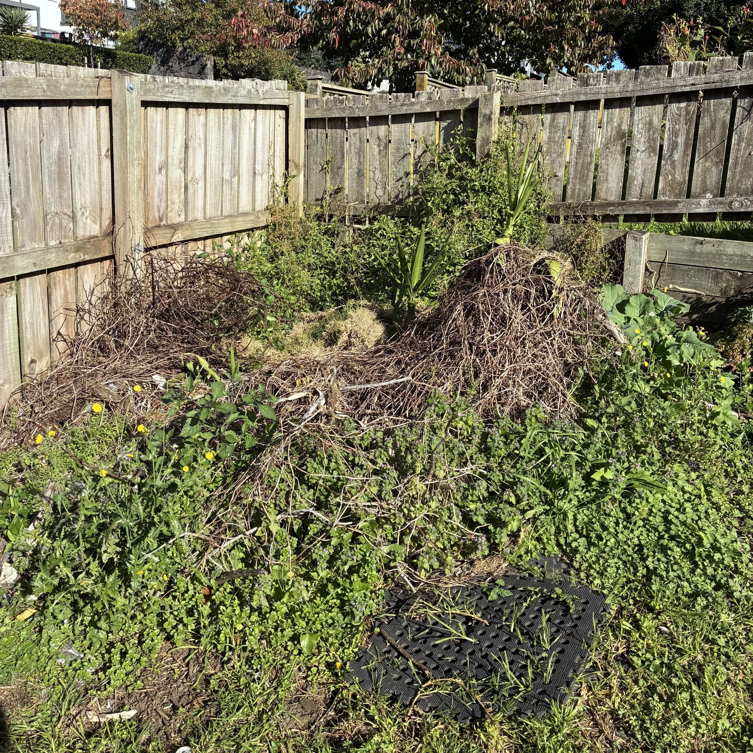 A wooden privacy fence surrounds a garden with overgrown plants, weeds, and debris on the ground, with trees and a house visible above the fence in the background.
