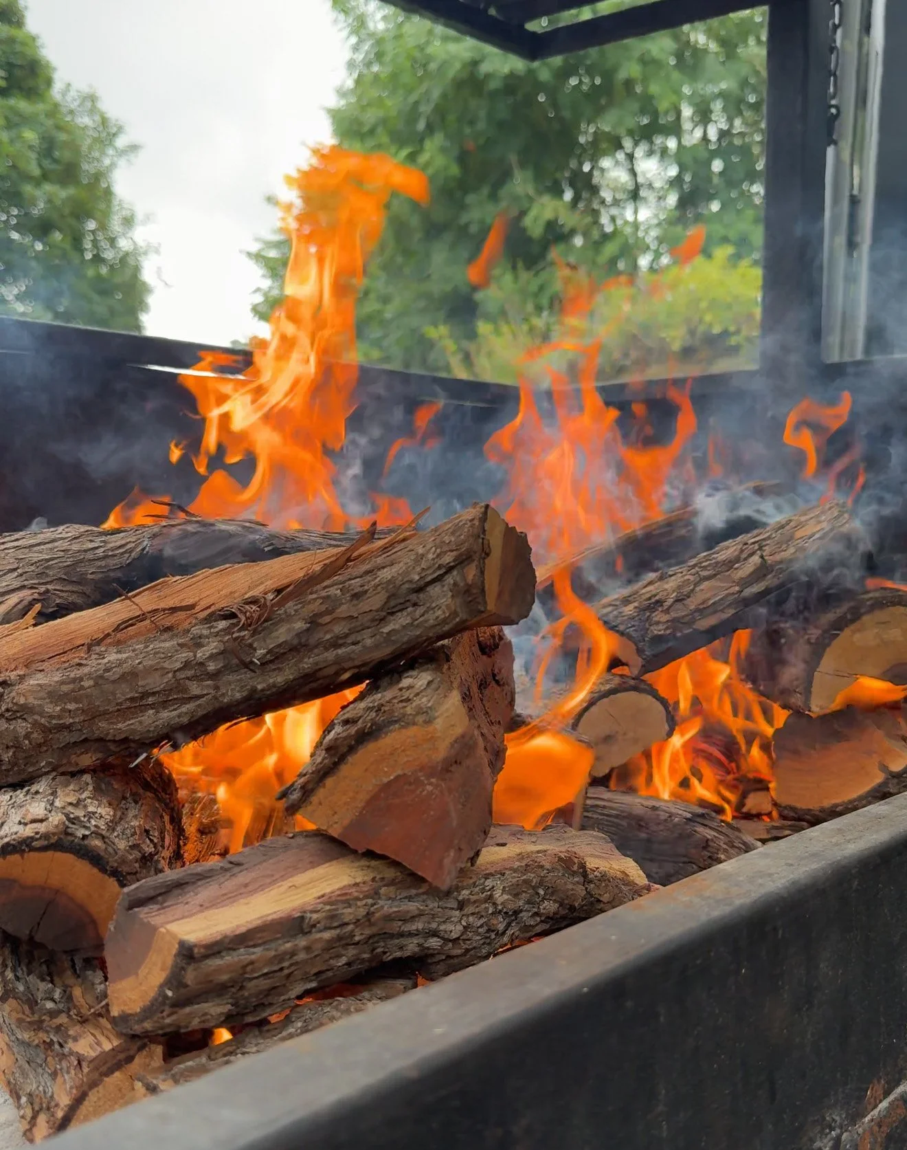 Fire Lighting-300px.jpg