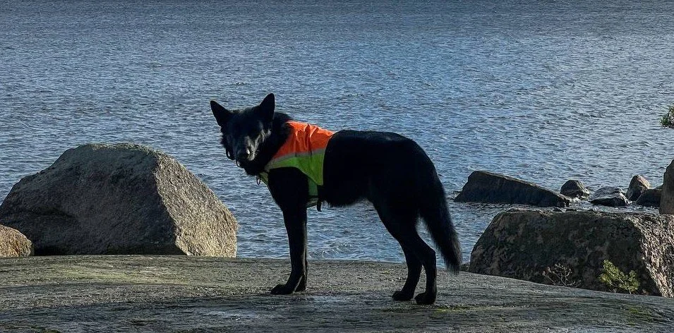 Seikkailuraportti lokakuu