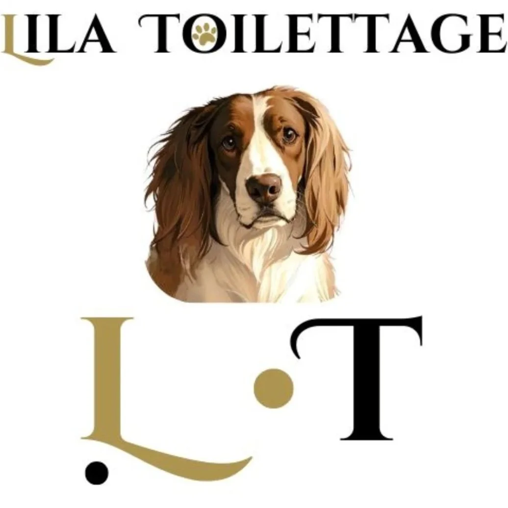 Toilettage & massage