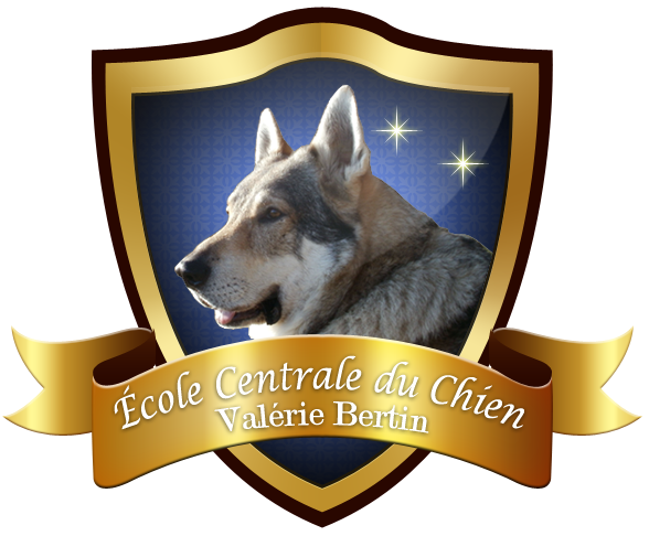 Ecole Centrale du Chien