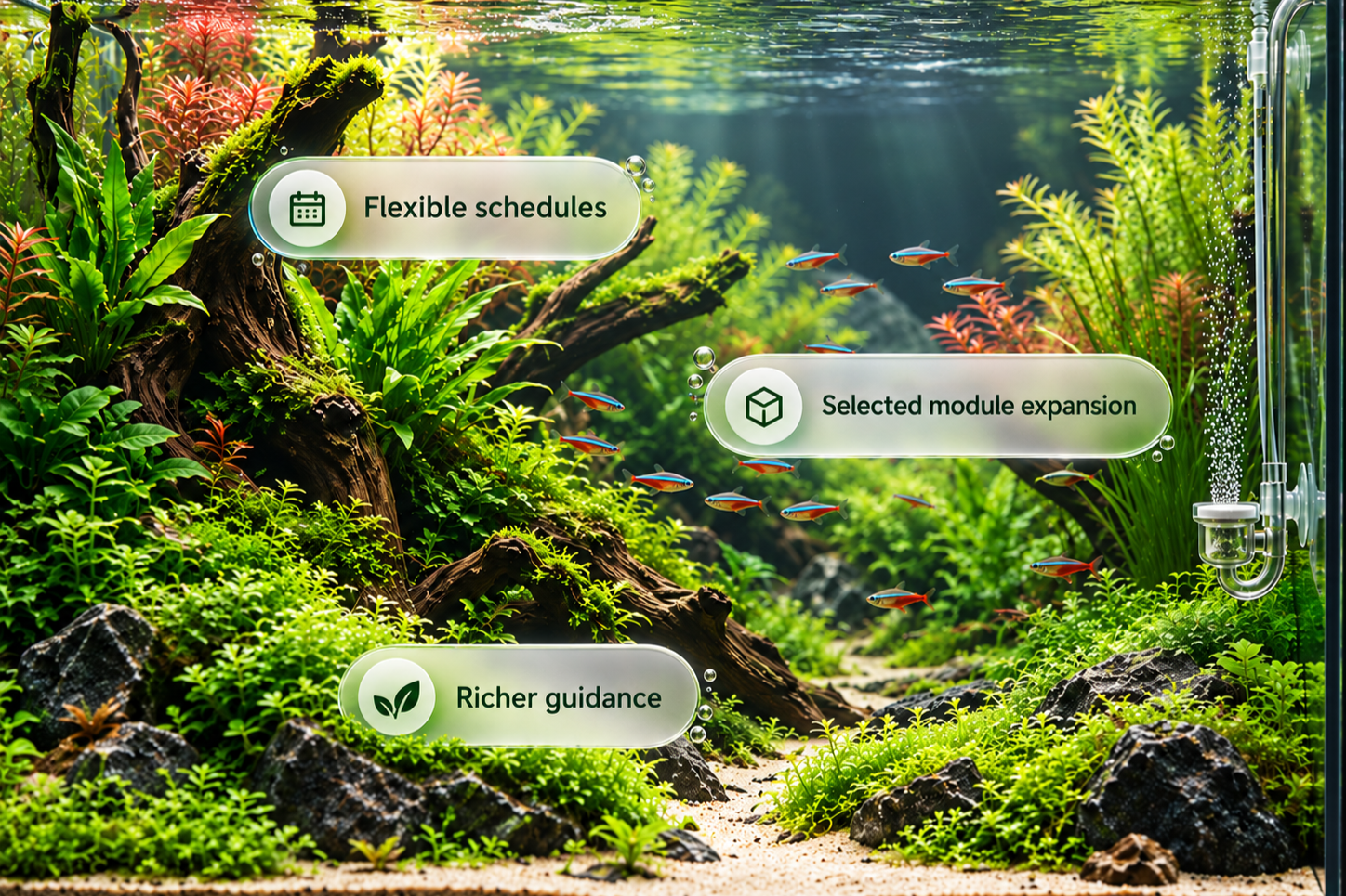 Planted aquarium image overlaid with labels for flexible schedules, module expansion, and richer guidance.