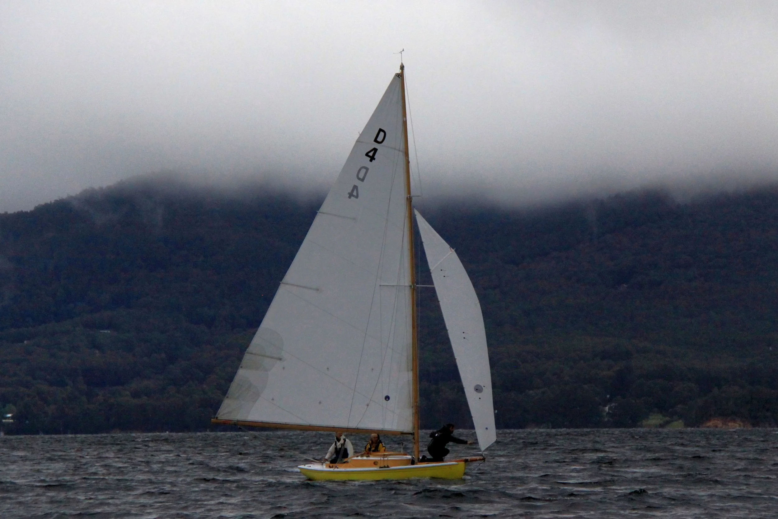 IMG_1234.JPG