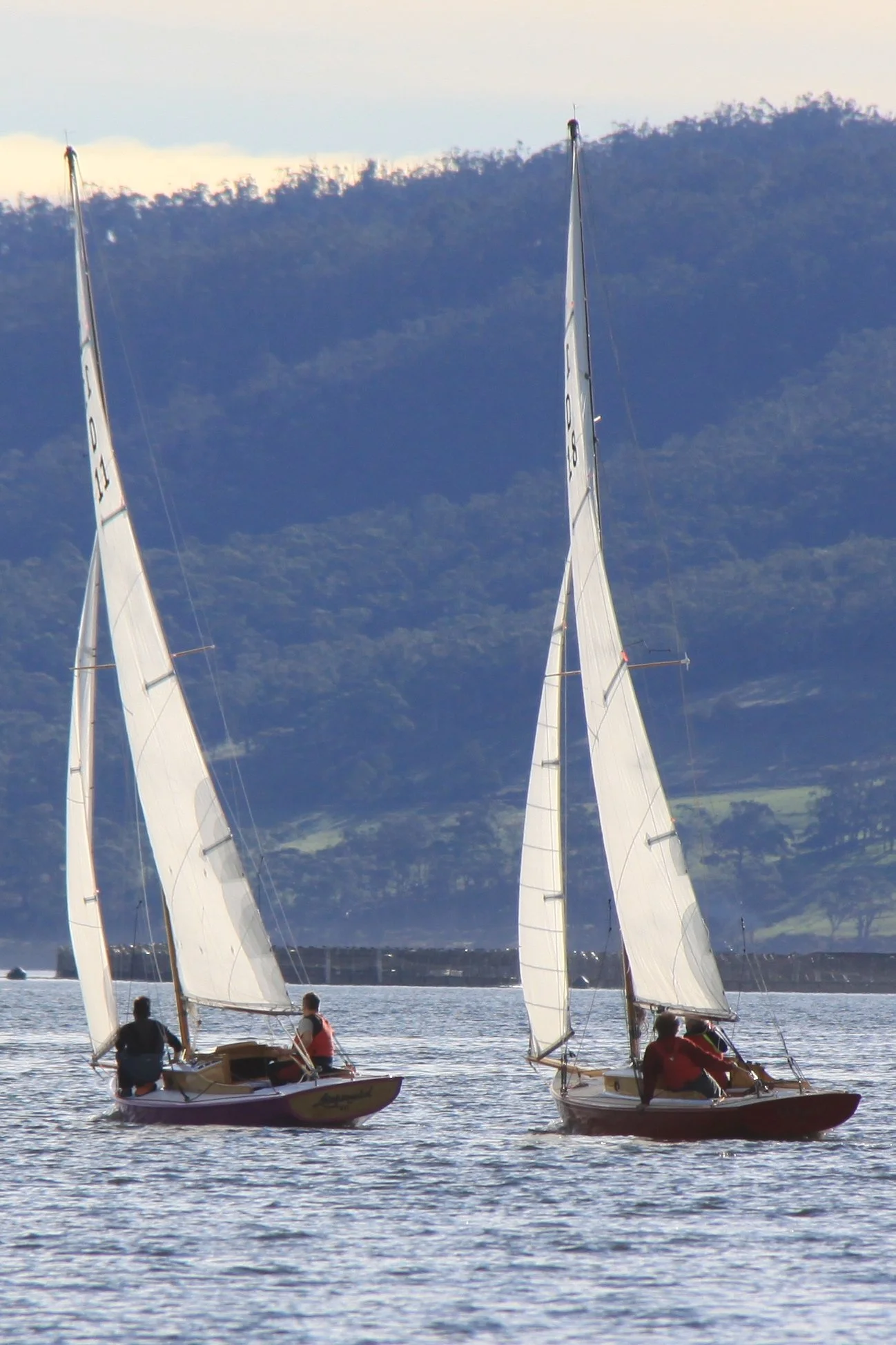 IMG_0671.JPG