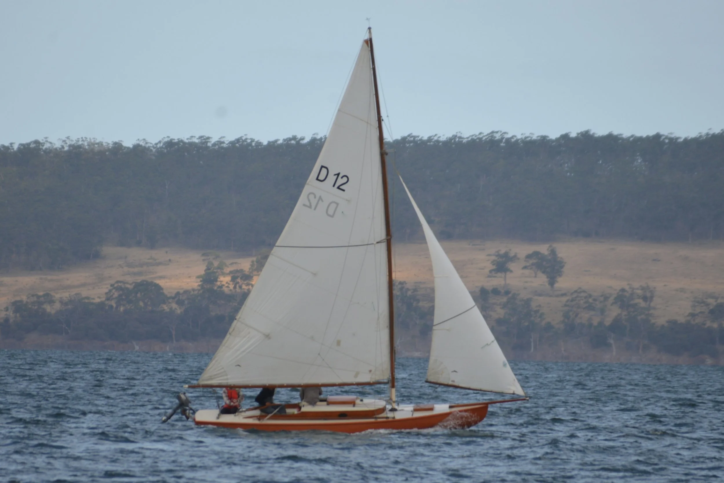 MIC_9977.JPG