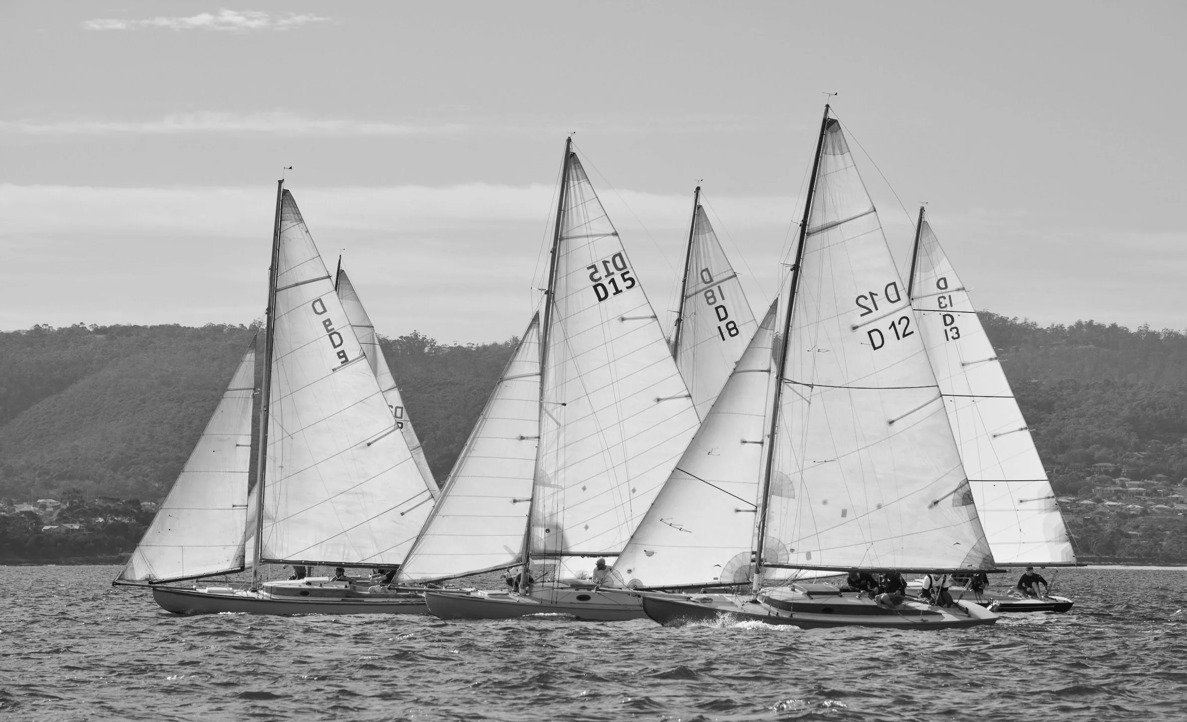 Header Img 01.jpg