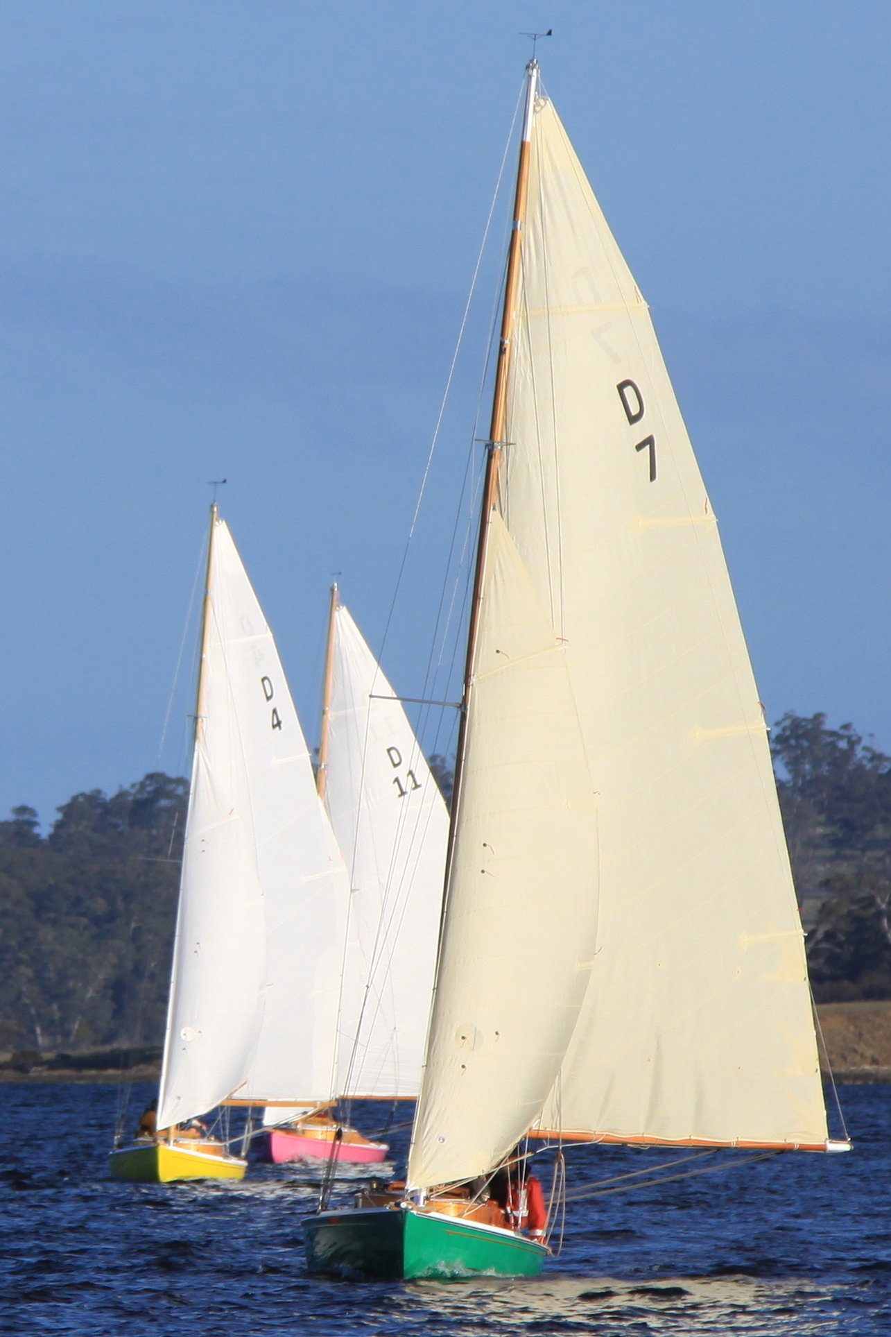 IMG_1375c.JPG