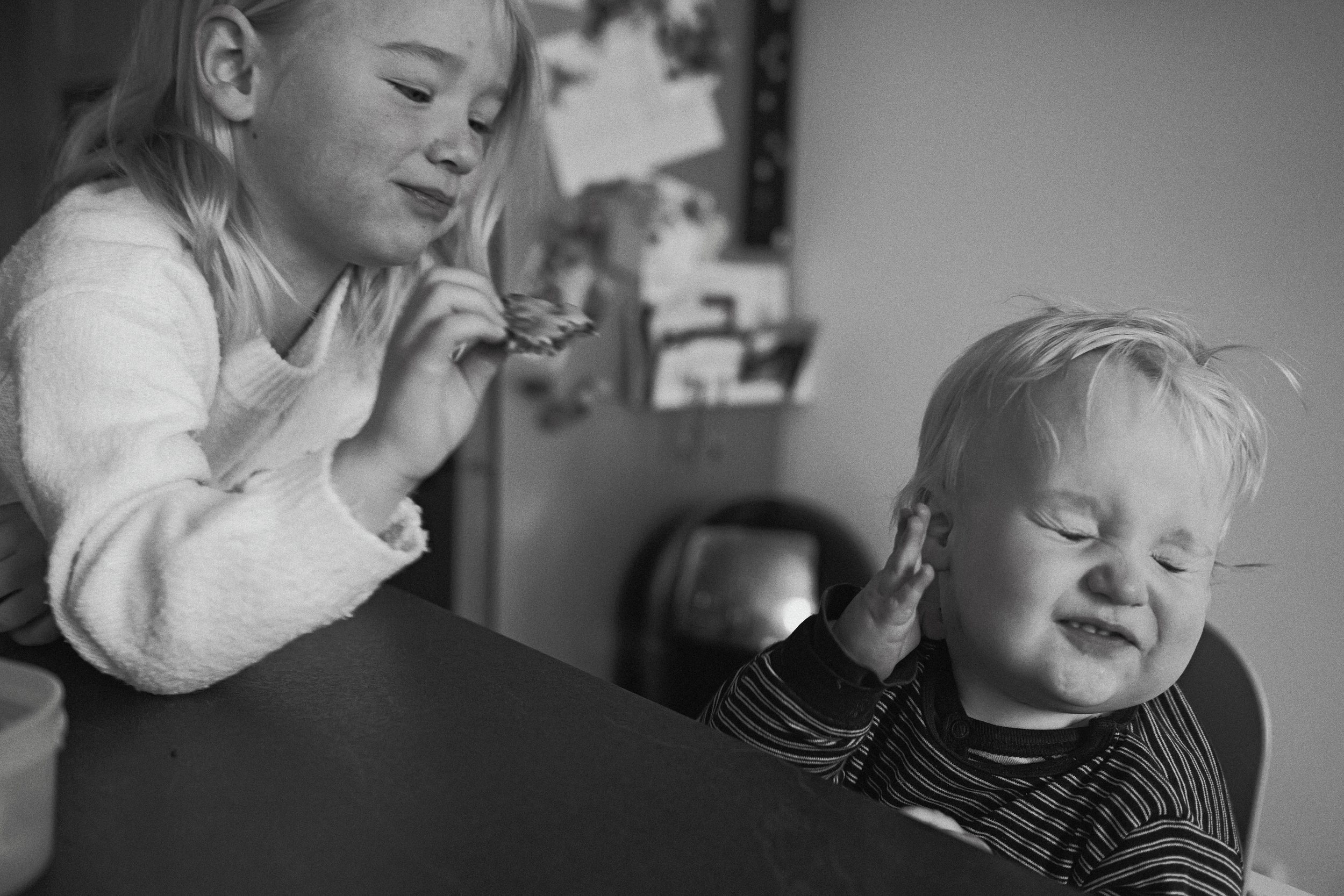 P1047630_lab.JPG