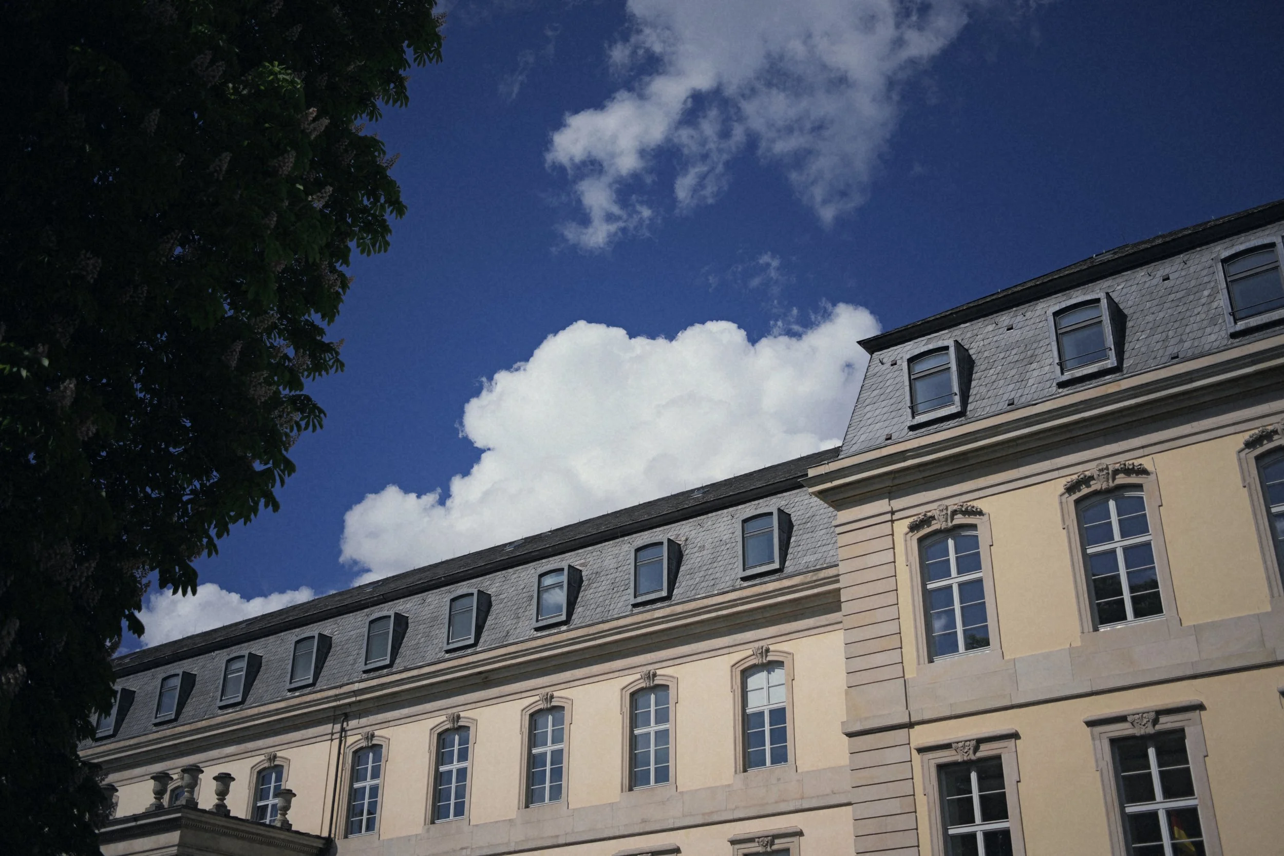 P1058151_lab.JPG