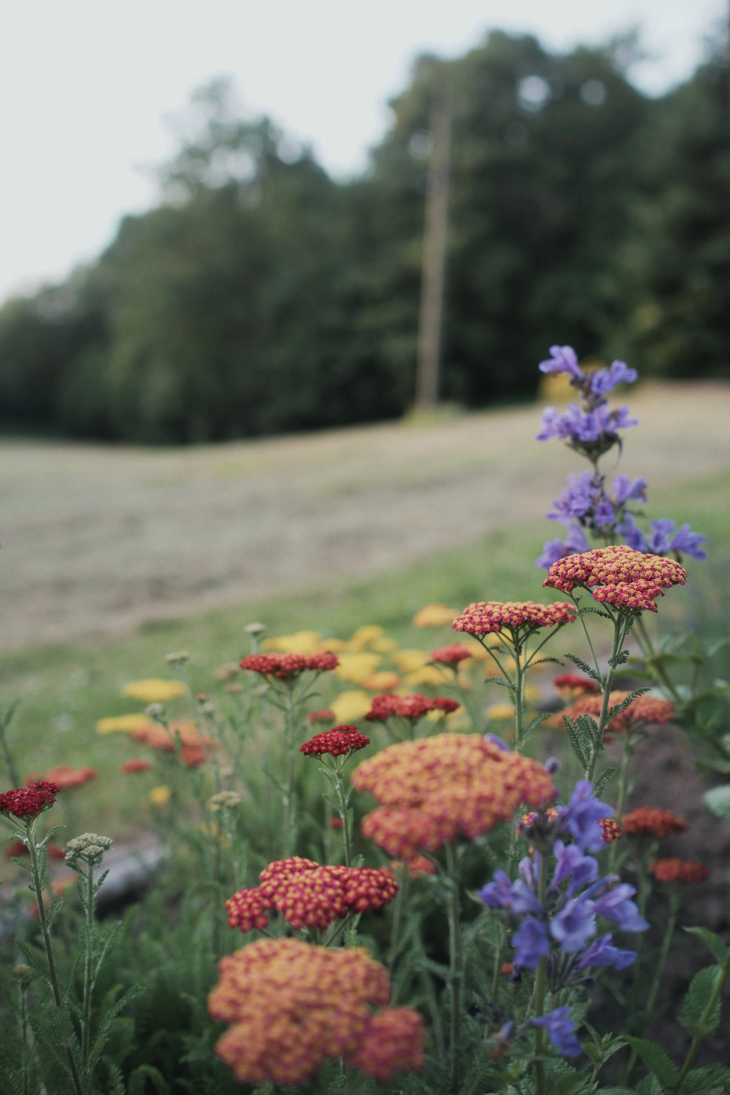 Lumix S9 | TTArtisan 40 mm F2 | GW PROVIA | Toto, Germany