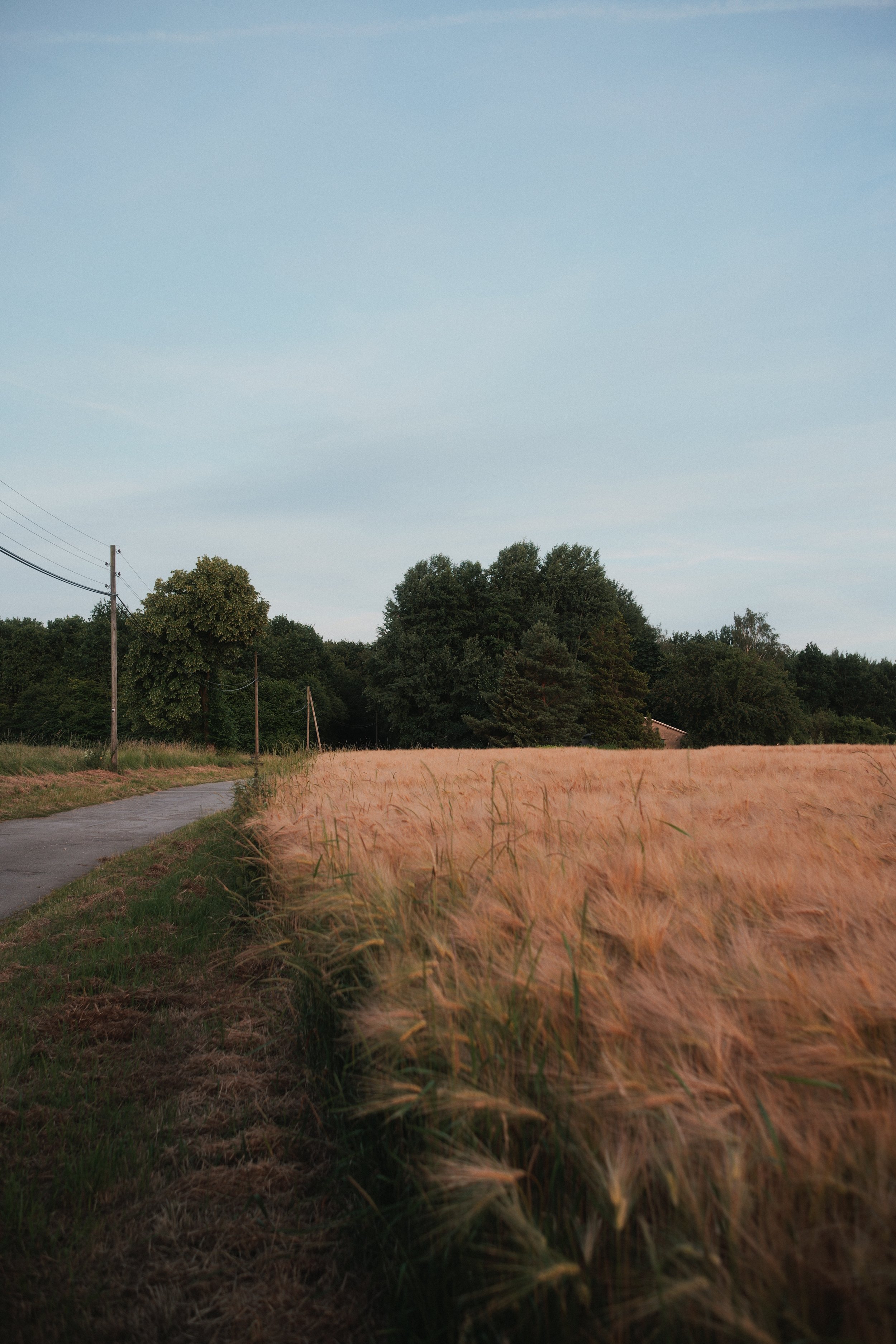 Lumix S9 | TTArtisan 40 mm F2 | GW PROVIA | Toto, Germany