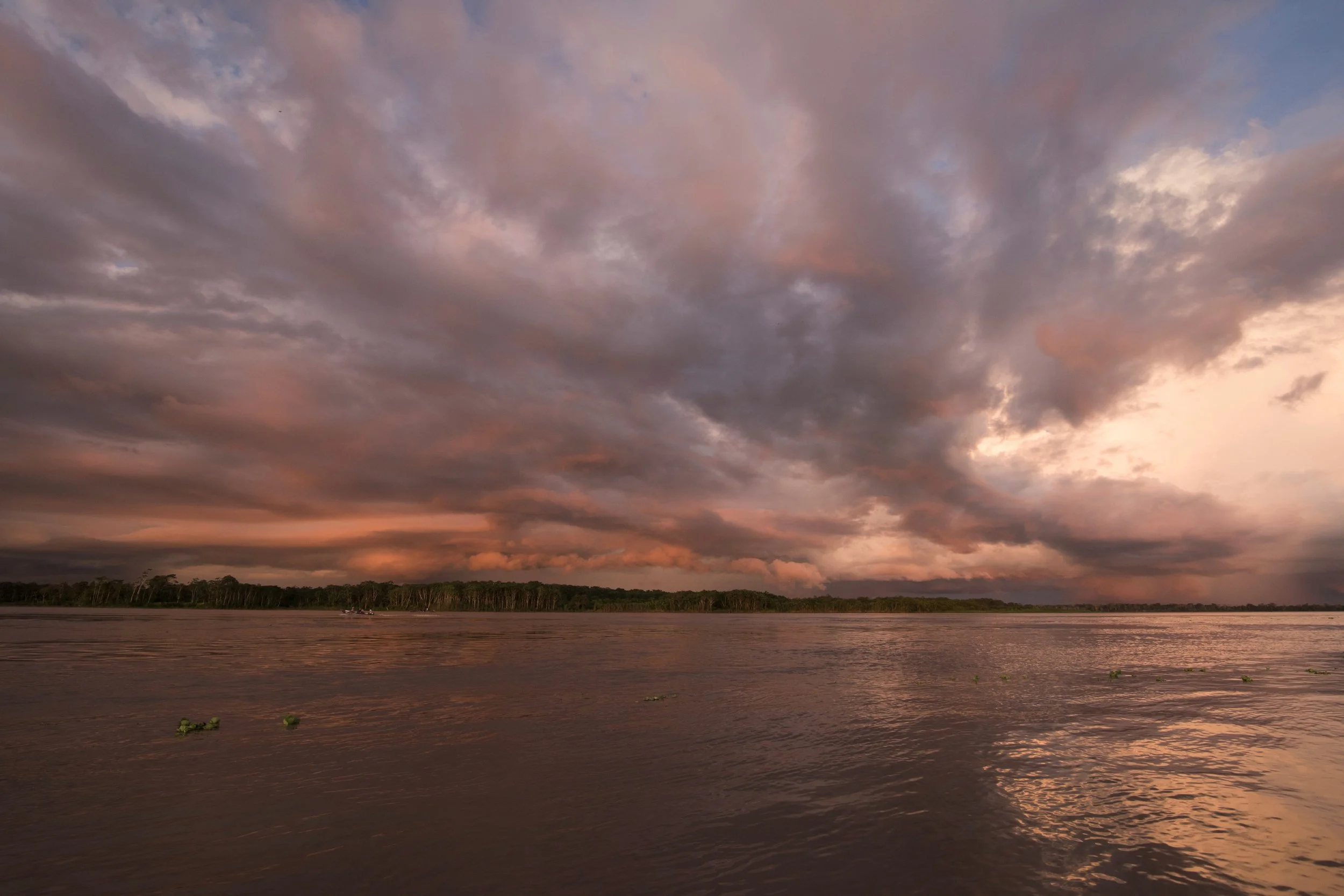 DSC_6151.jpg