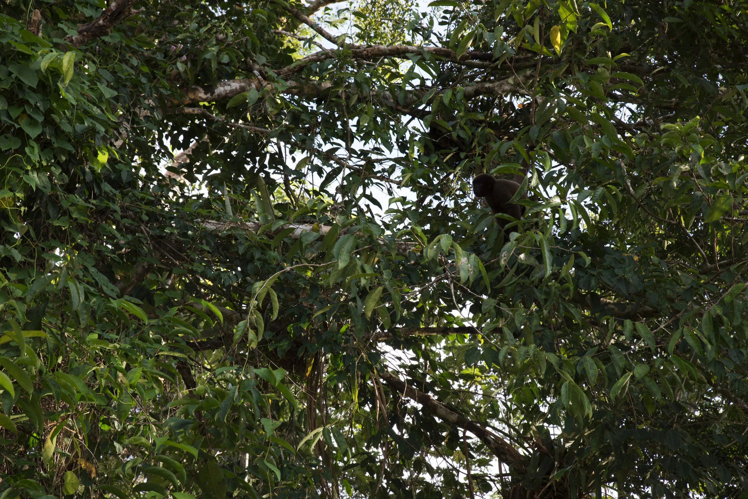 DSC_5883.jpg
