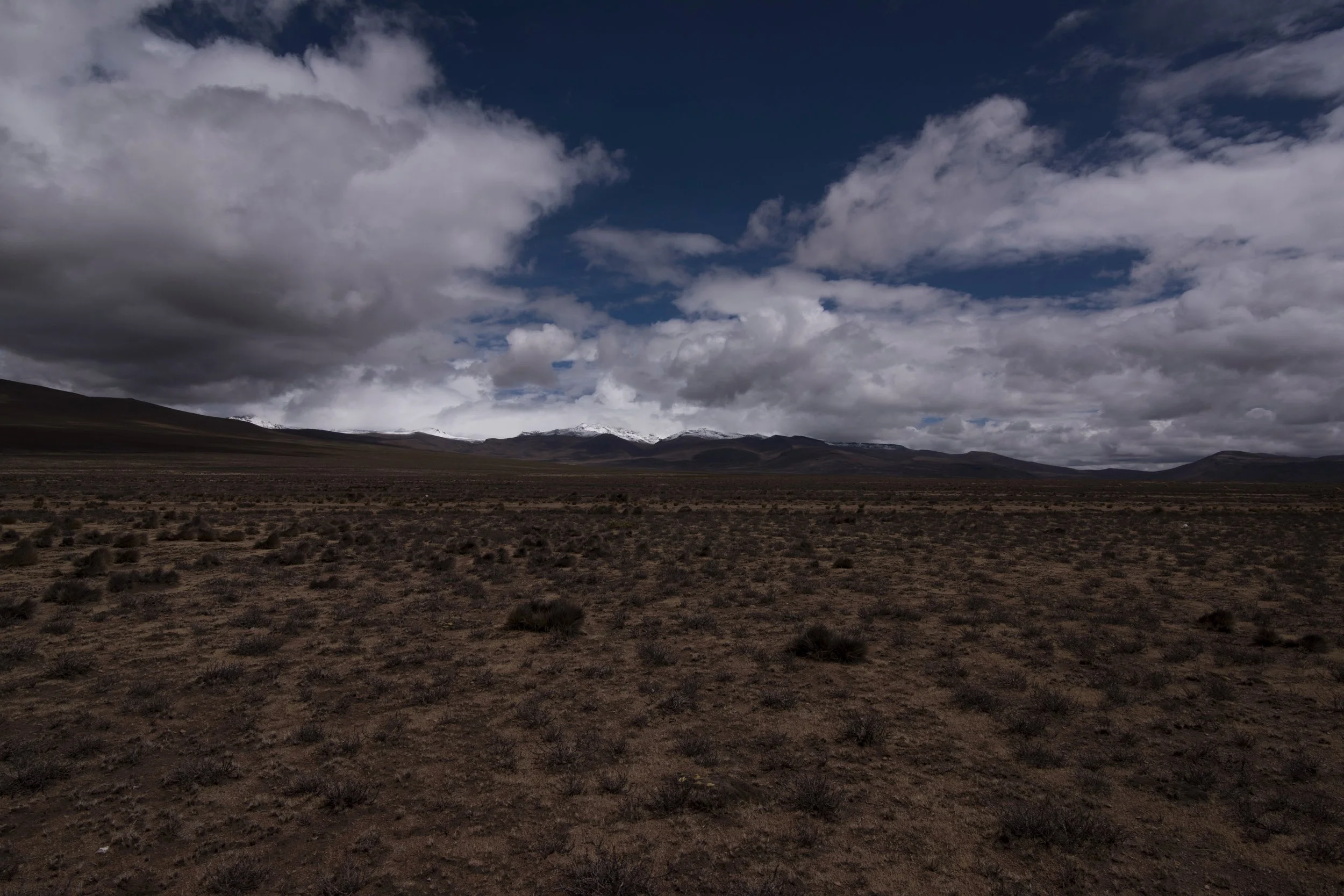 DSC_6479.jpg