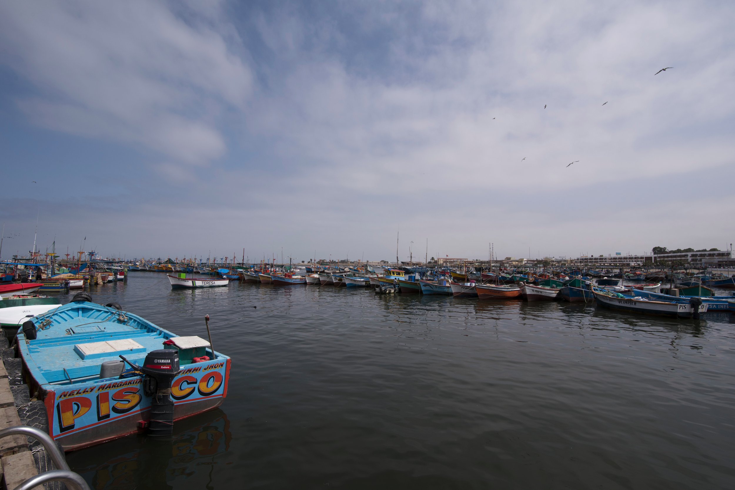 DSC_6317.jpg