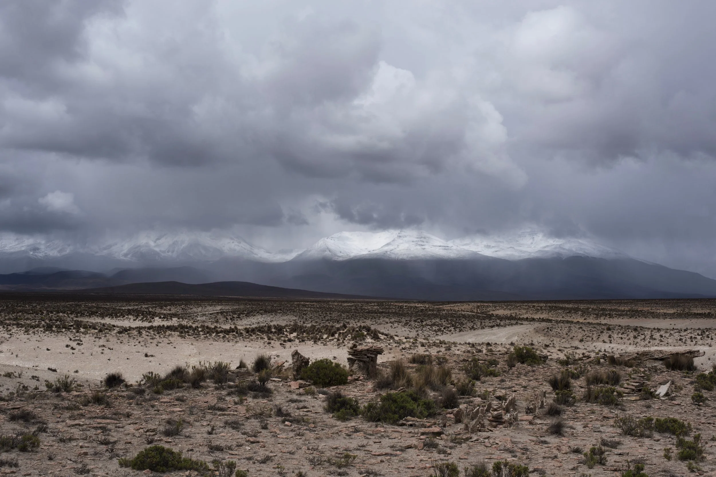 DSC_6495.jpg